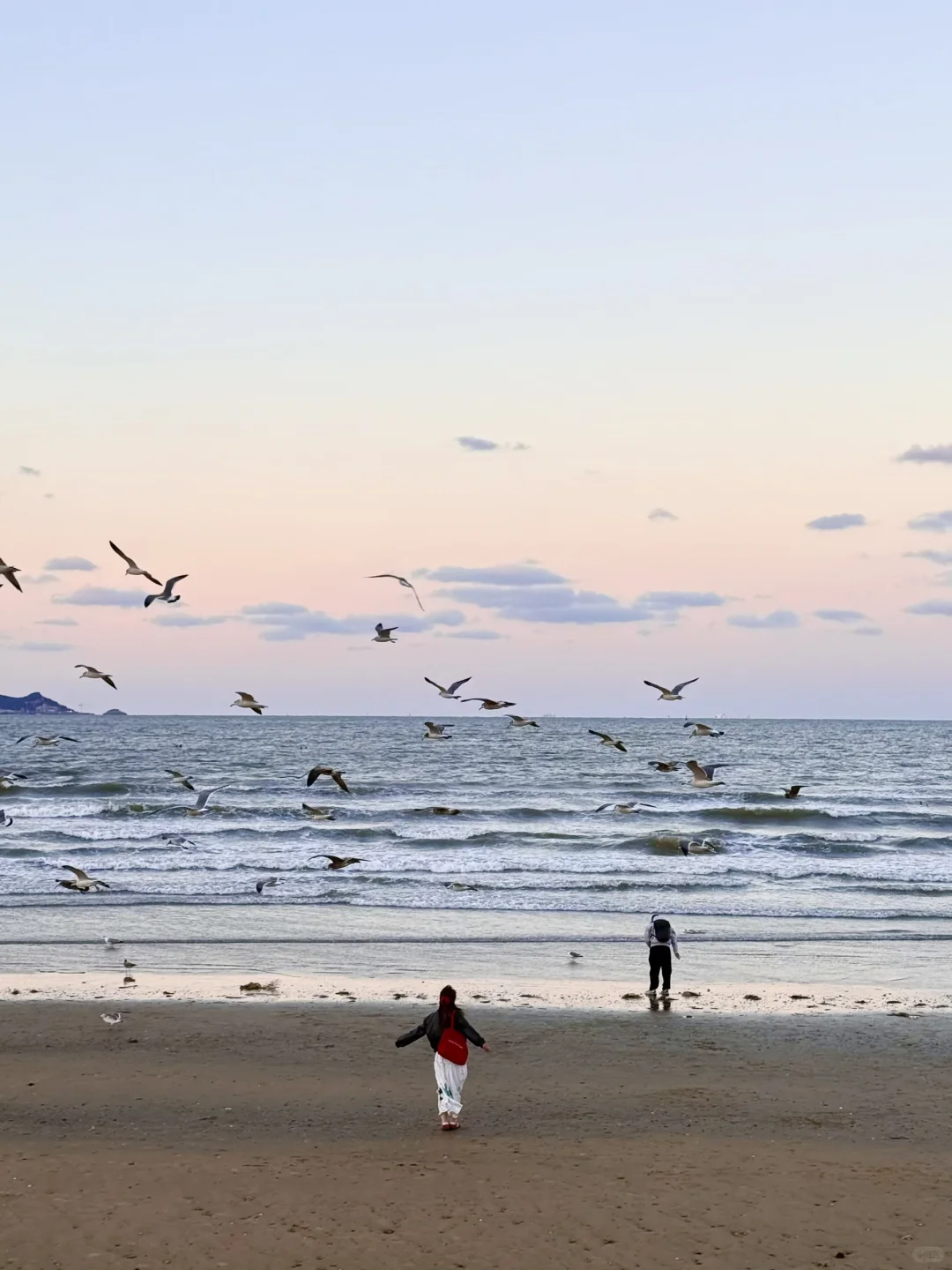 Live以为青岛大连封神了❗️直到我去了烟台🥹