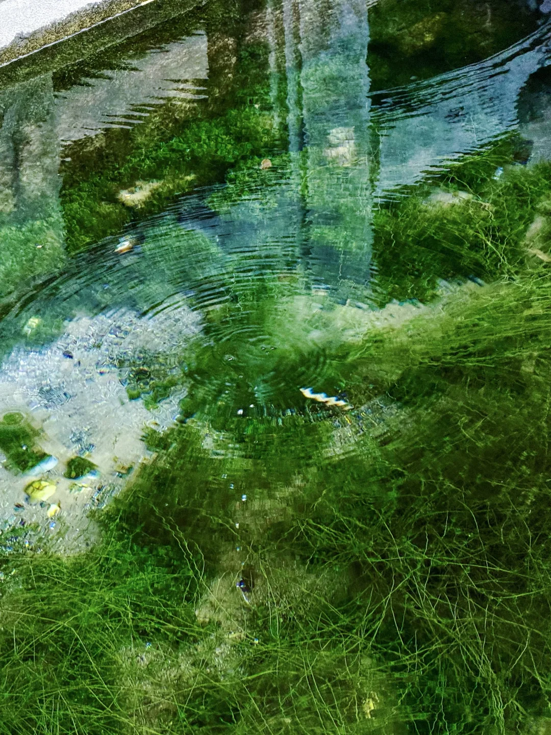 这济南可太美了！