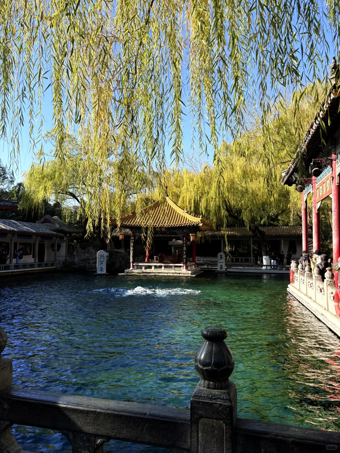 12.03 趵突泉实景实况☀️