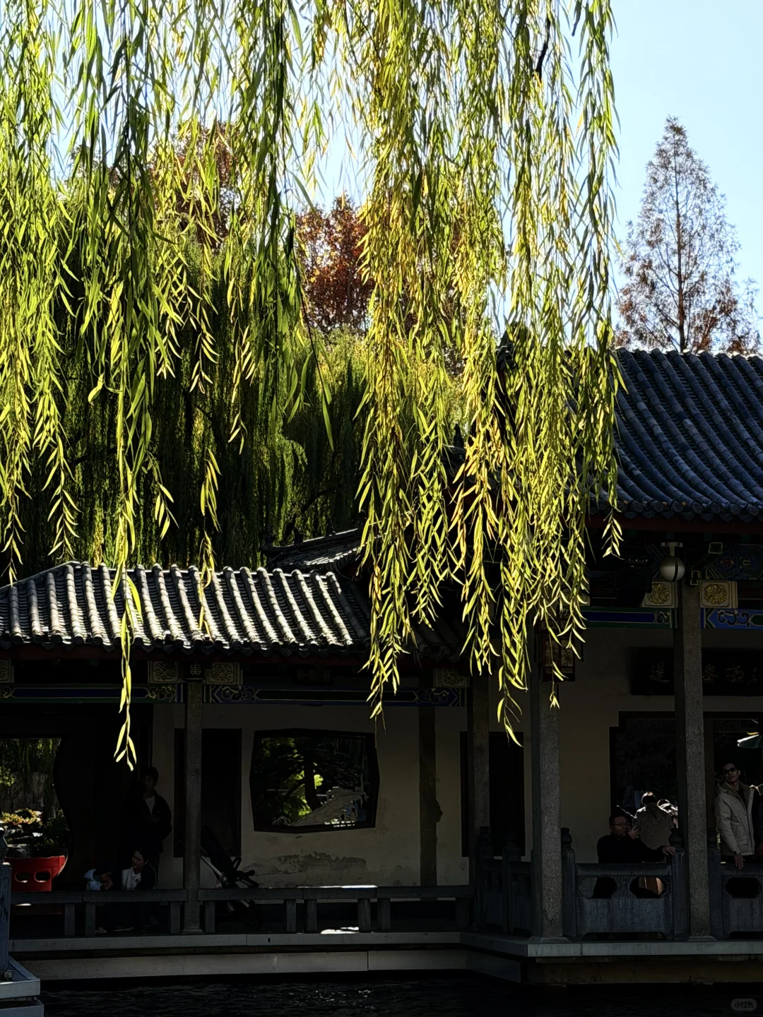 济南的水实在惊人