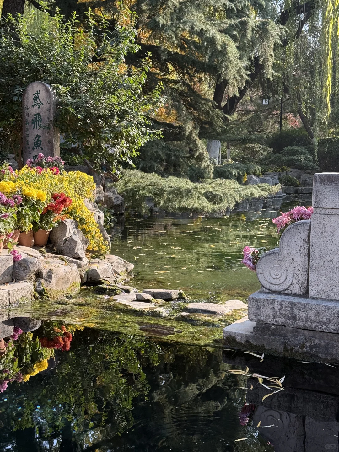 济南美的不需要滤镜