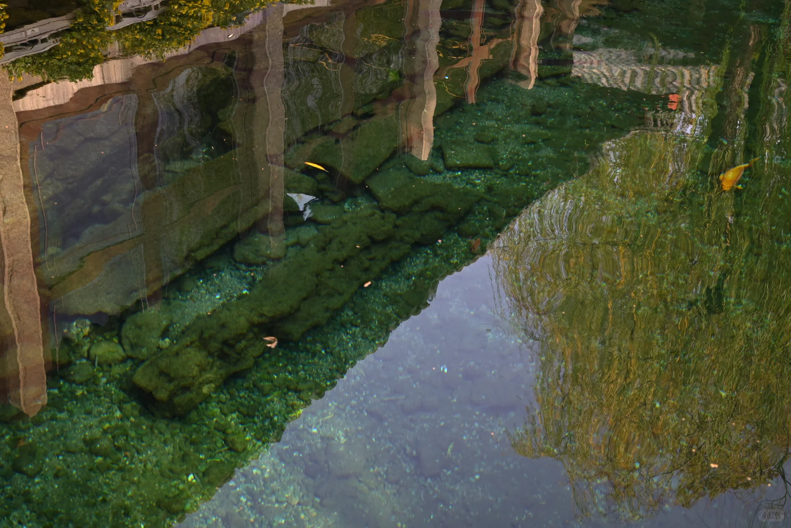 周末逃离北京之 济南（2）