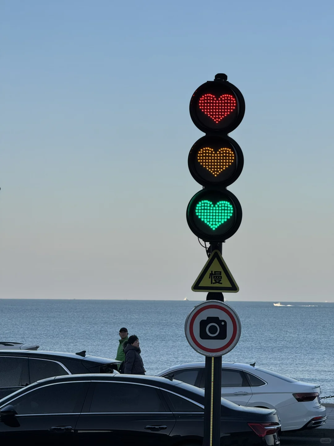 不吹🐂!今天烟台海边有一亿人看海鸥~🙋‍♀️