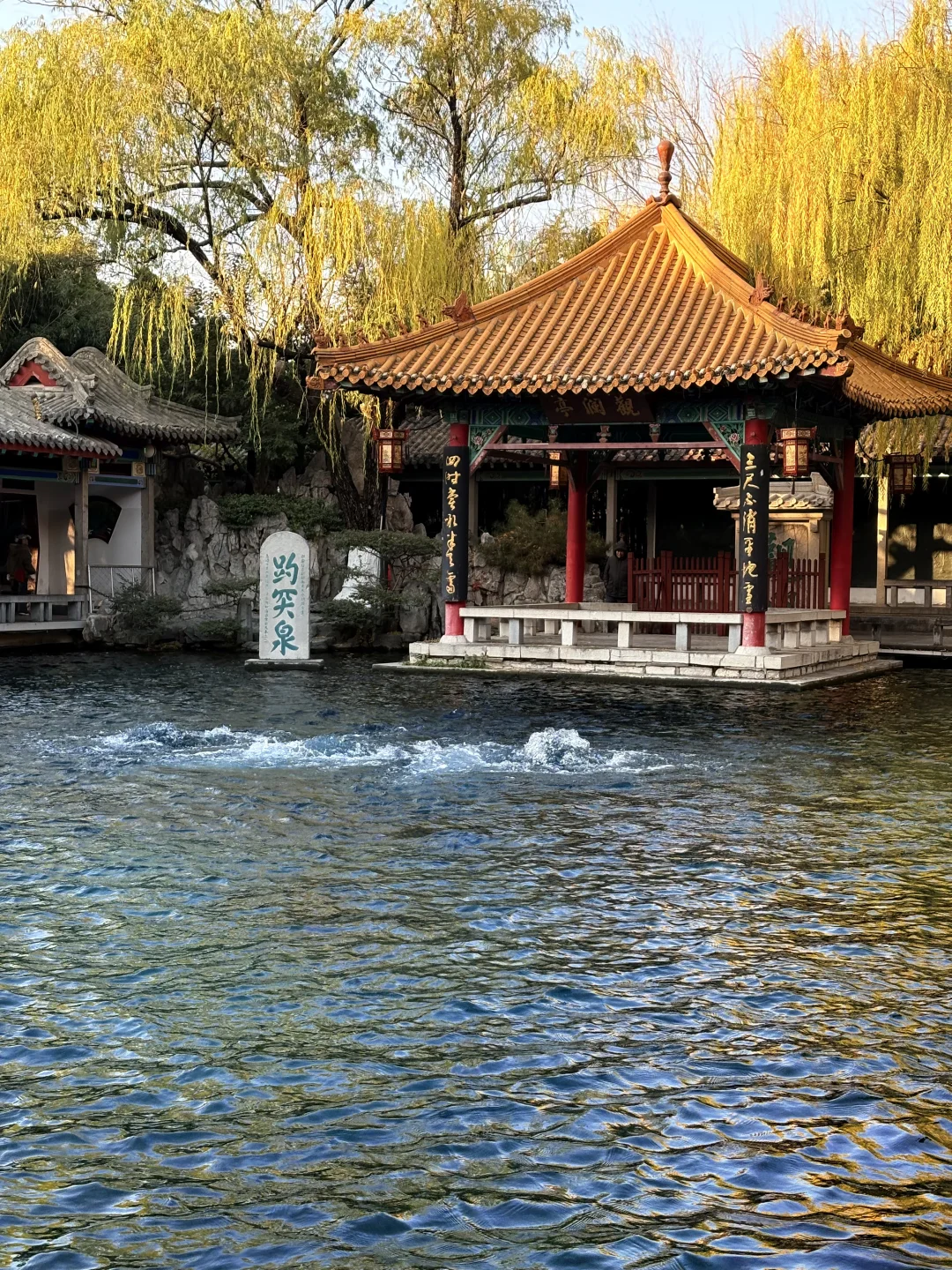 12.04 趵突泉🈶️1️⃣亿人！