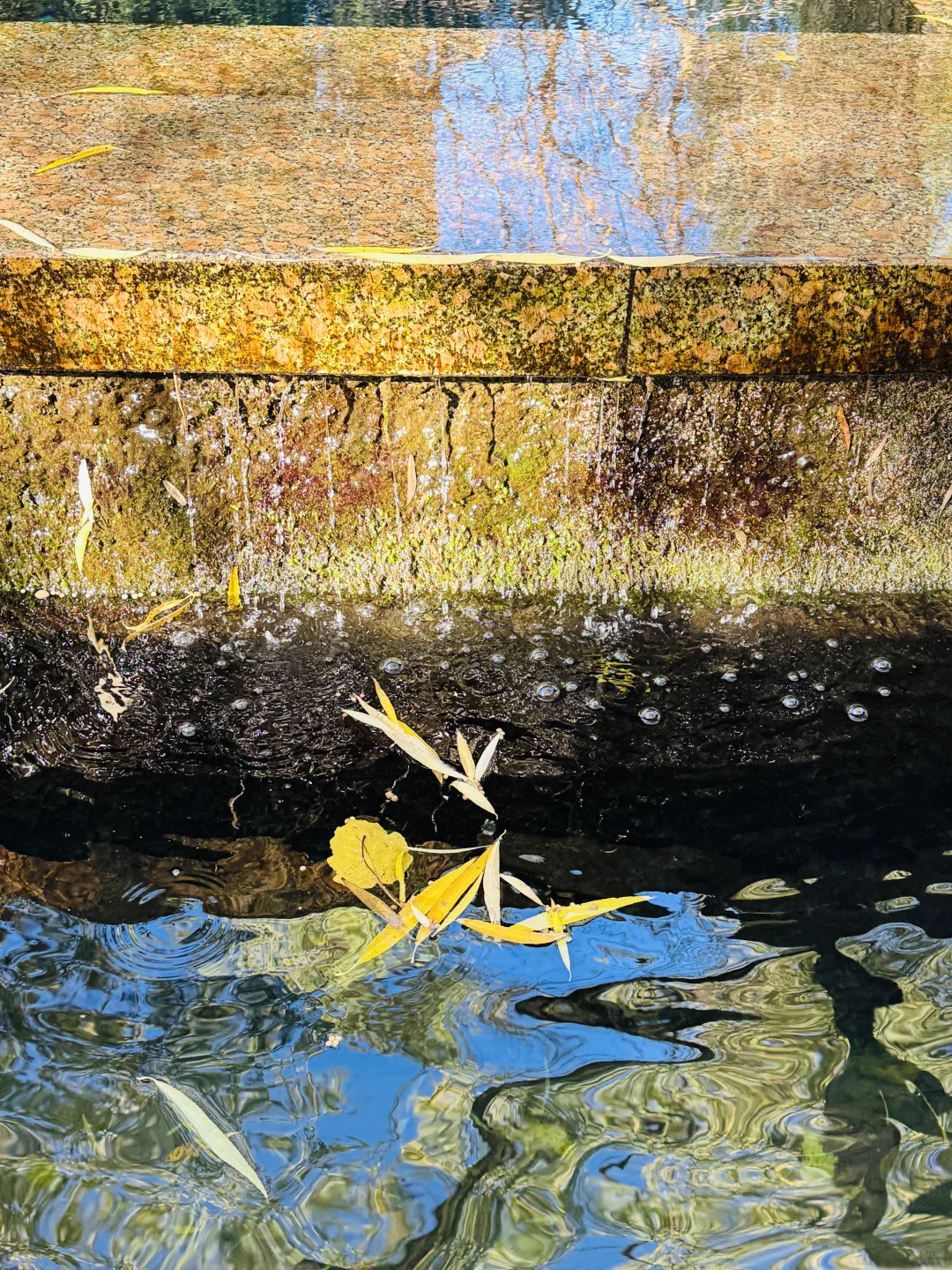 旅行｜冬天请一定来一趟济南听泉