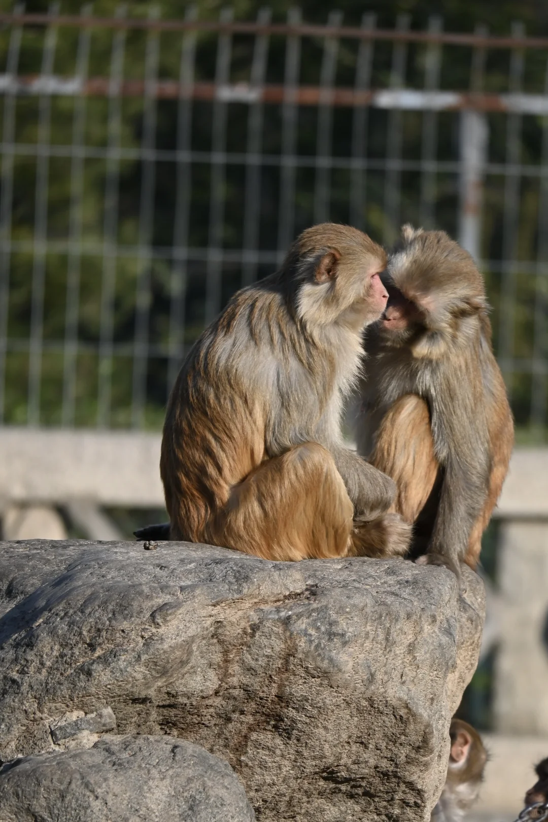 济南好去处07：济南动物园