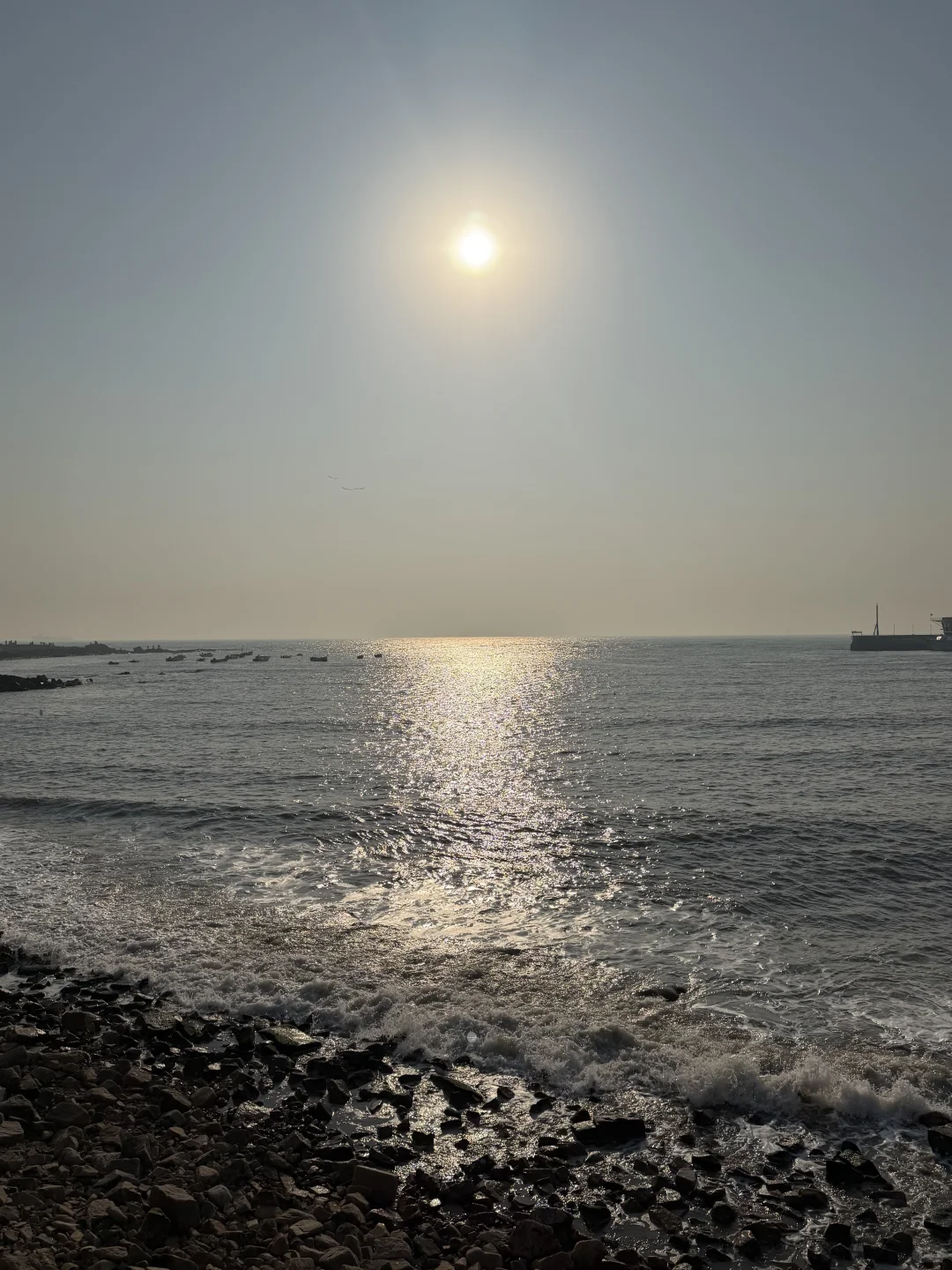 青岛今天这个阳光有点暖