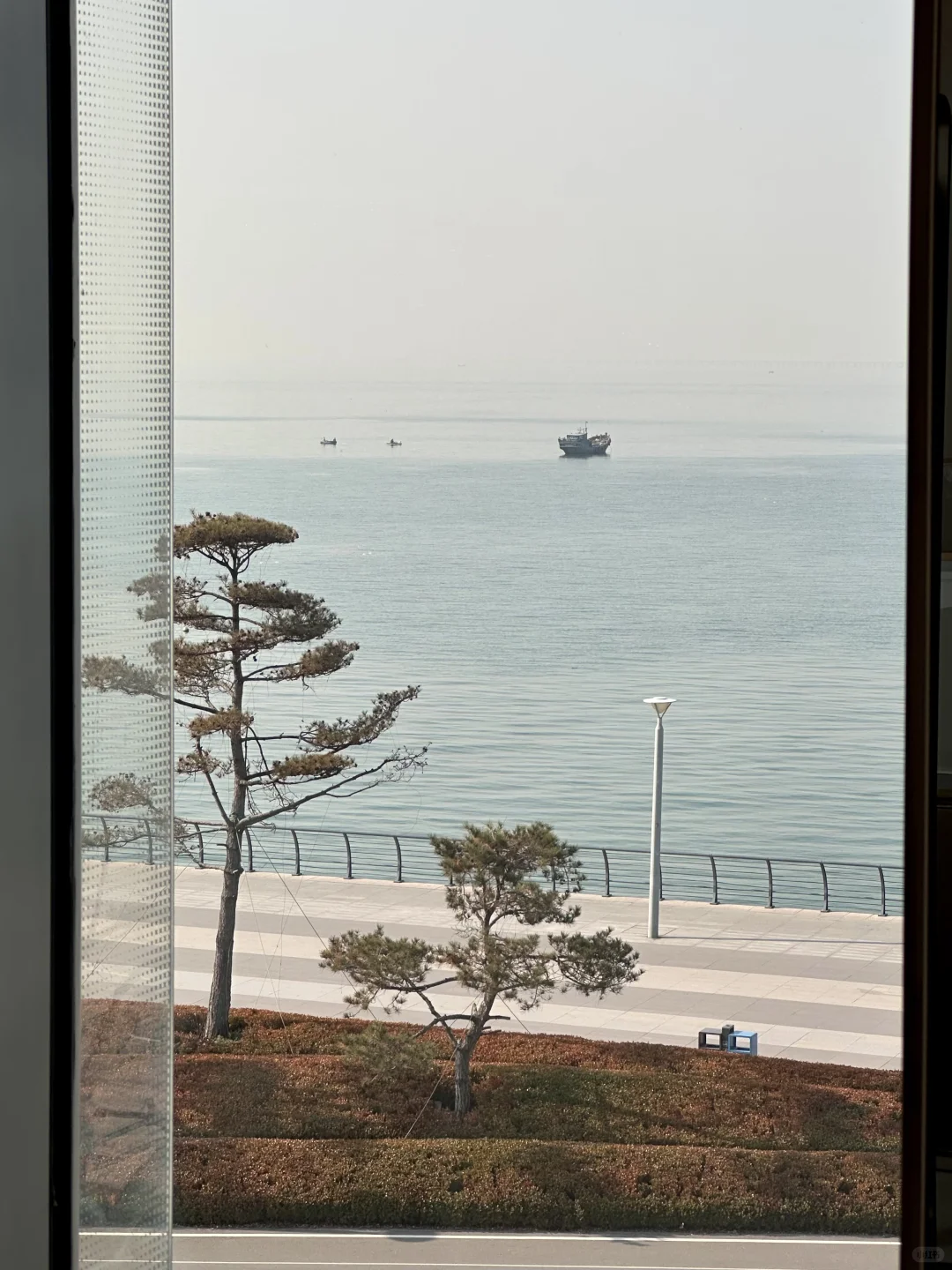 青岛咖啡店｜CONFIIN ART LAB 🗺️🌁🌉