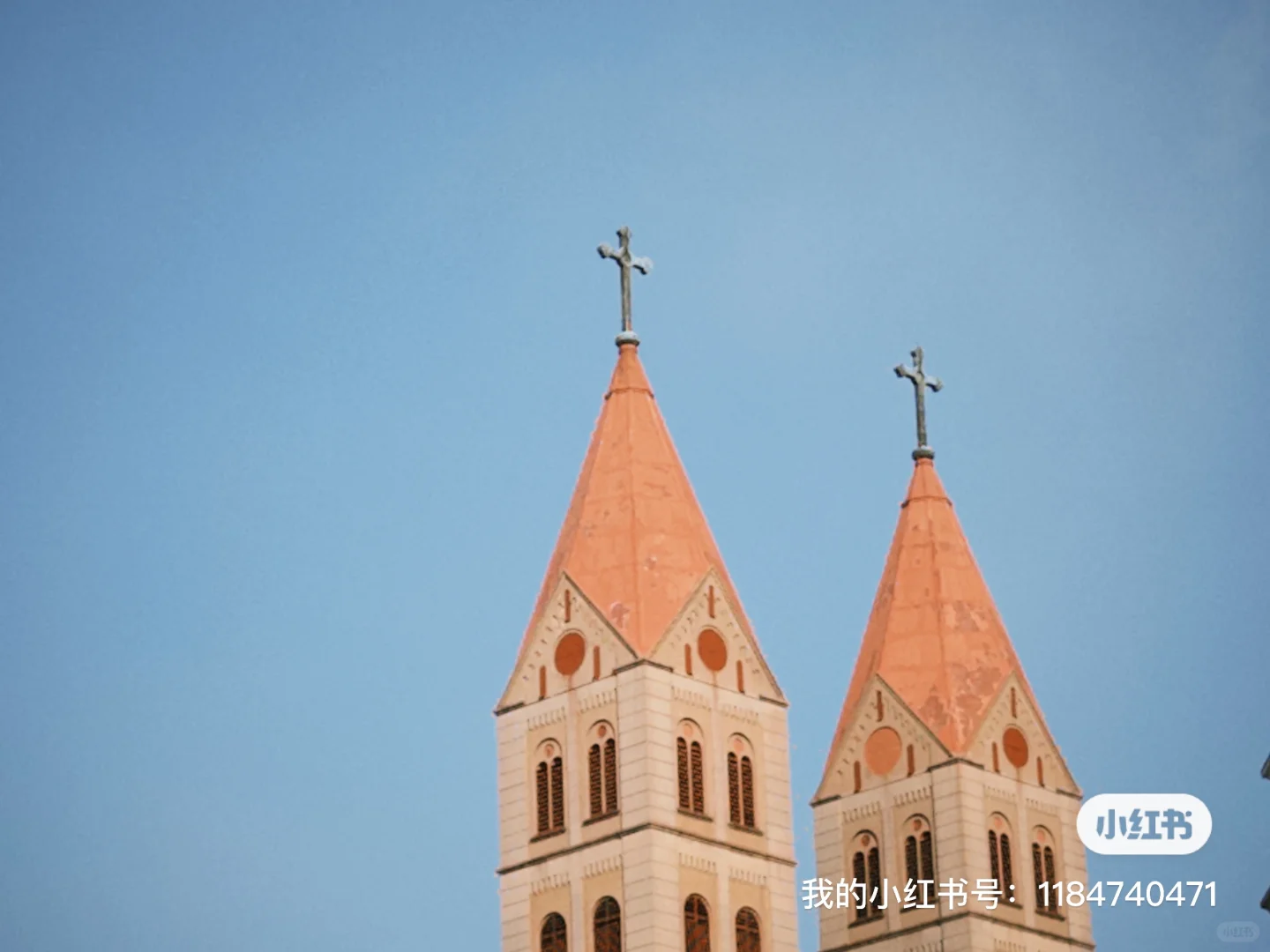 青岛男博士脱单自救