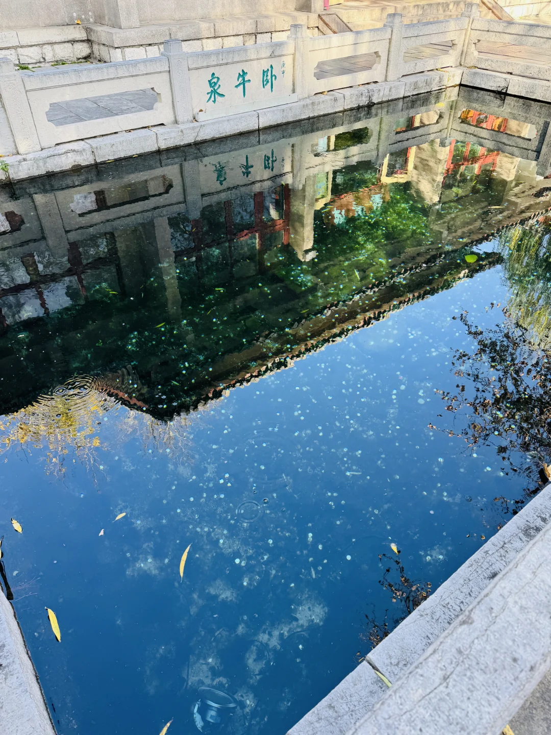 旅行｜冬天请一定来一趟济南听泉