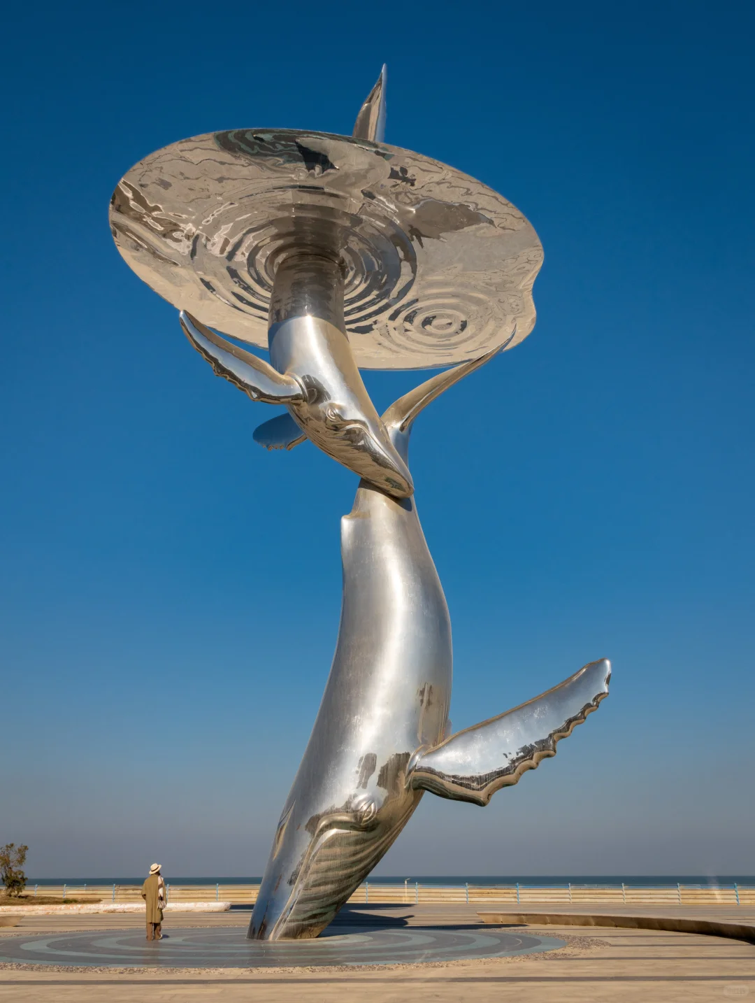 为了这18张图，我专门飞了一趟烟台❗️❗️