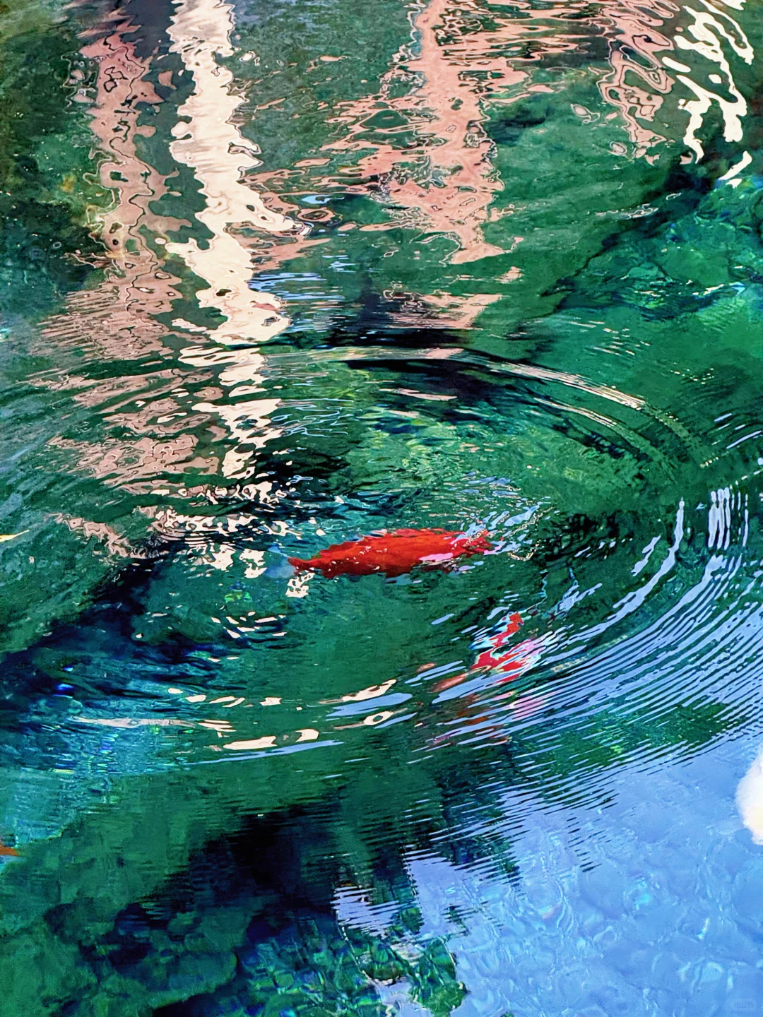 这济南可太美了！