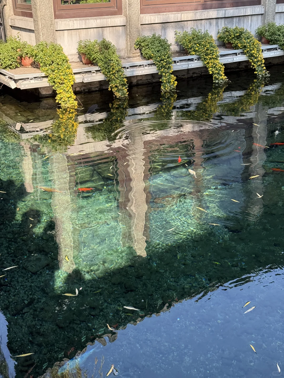 济南美的不需要滤镜