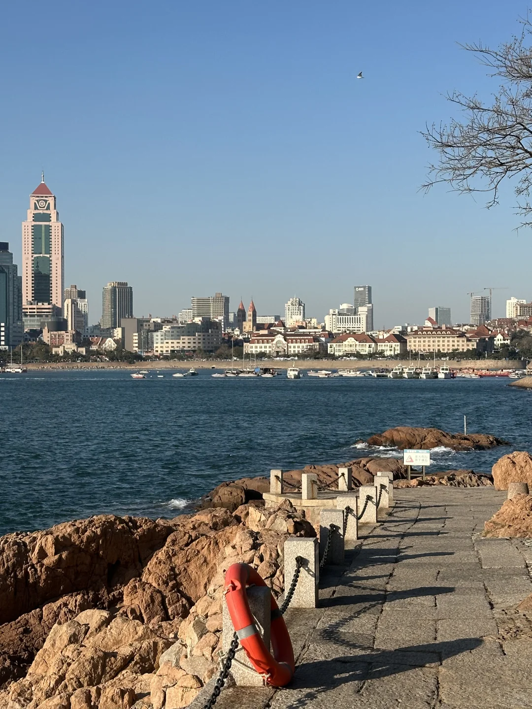 12.3 青岛风很大 海很蓝