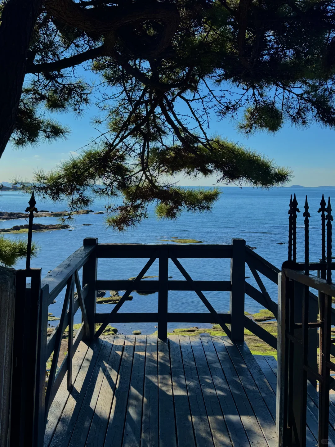 淡季的青岛真的是人间理想🌊…（18图live）