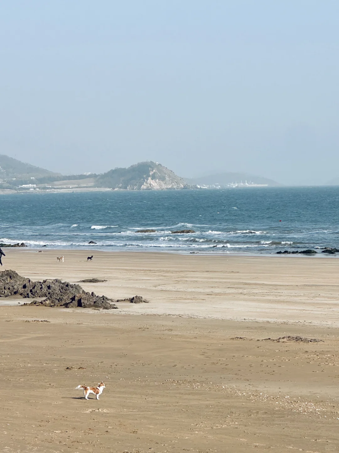 12.2Live实况，淡季的青岛是人间理想…🐚🌊