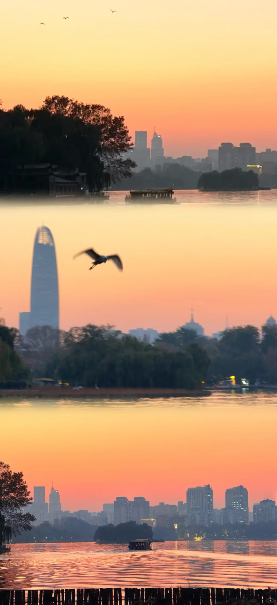 这济南可太美了！