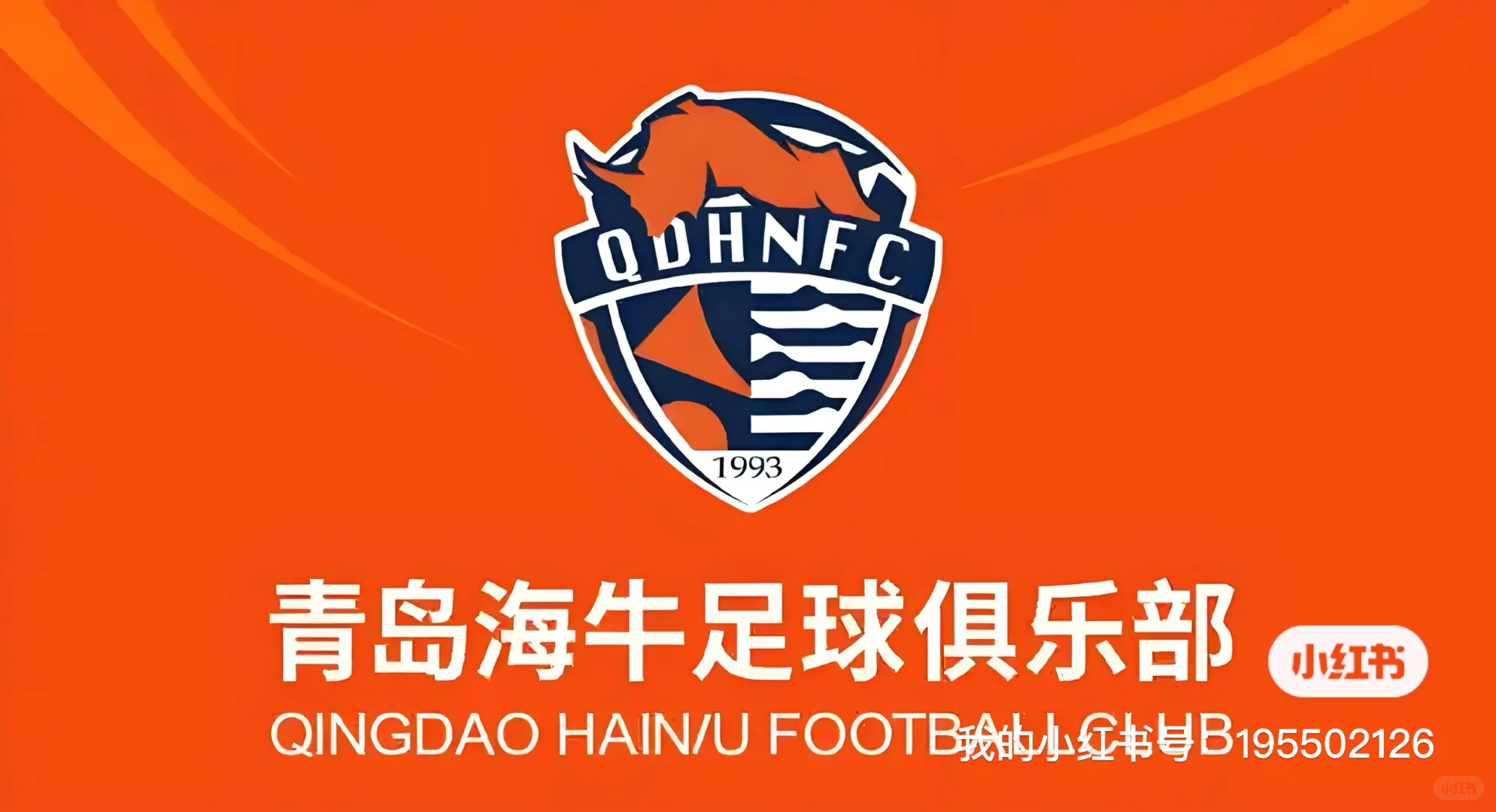 1/29--12/6青岛海牛队最新信息汇总：