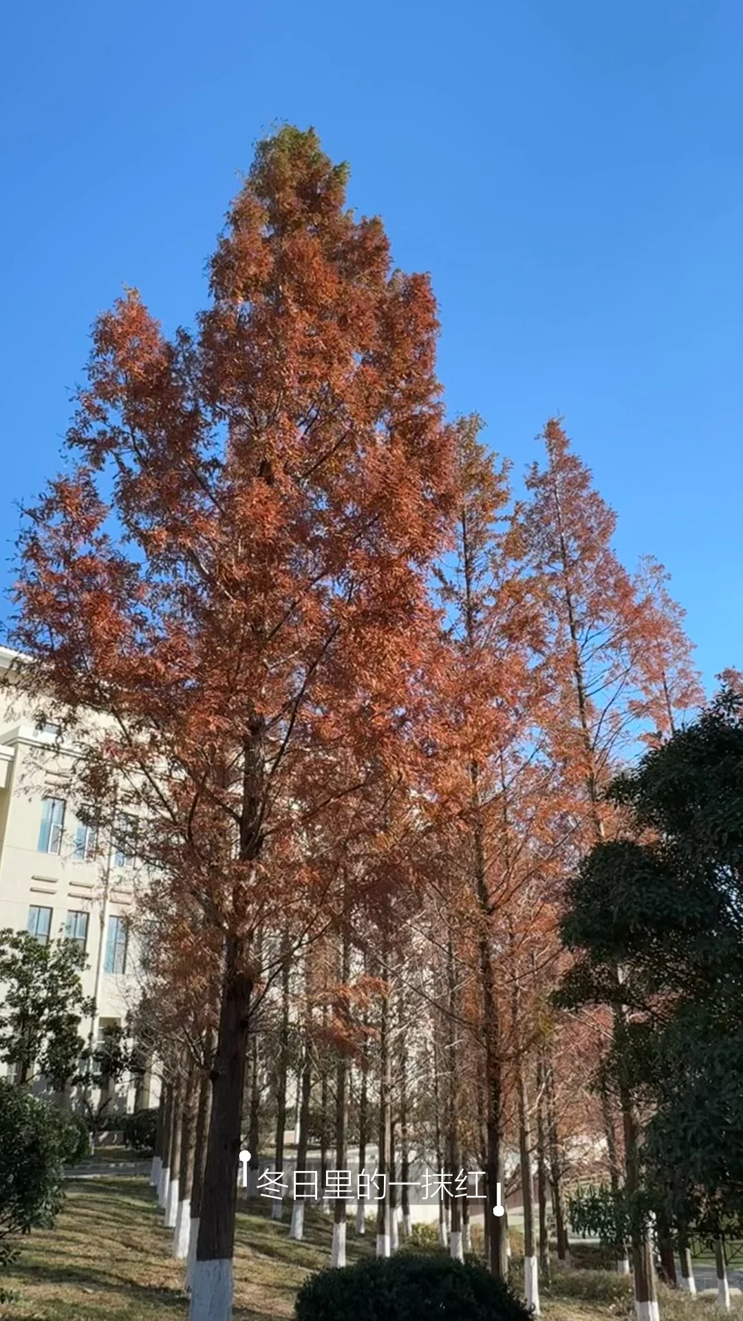 OUC读博plog｜青岛开启速冻模式