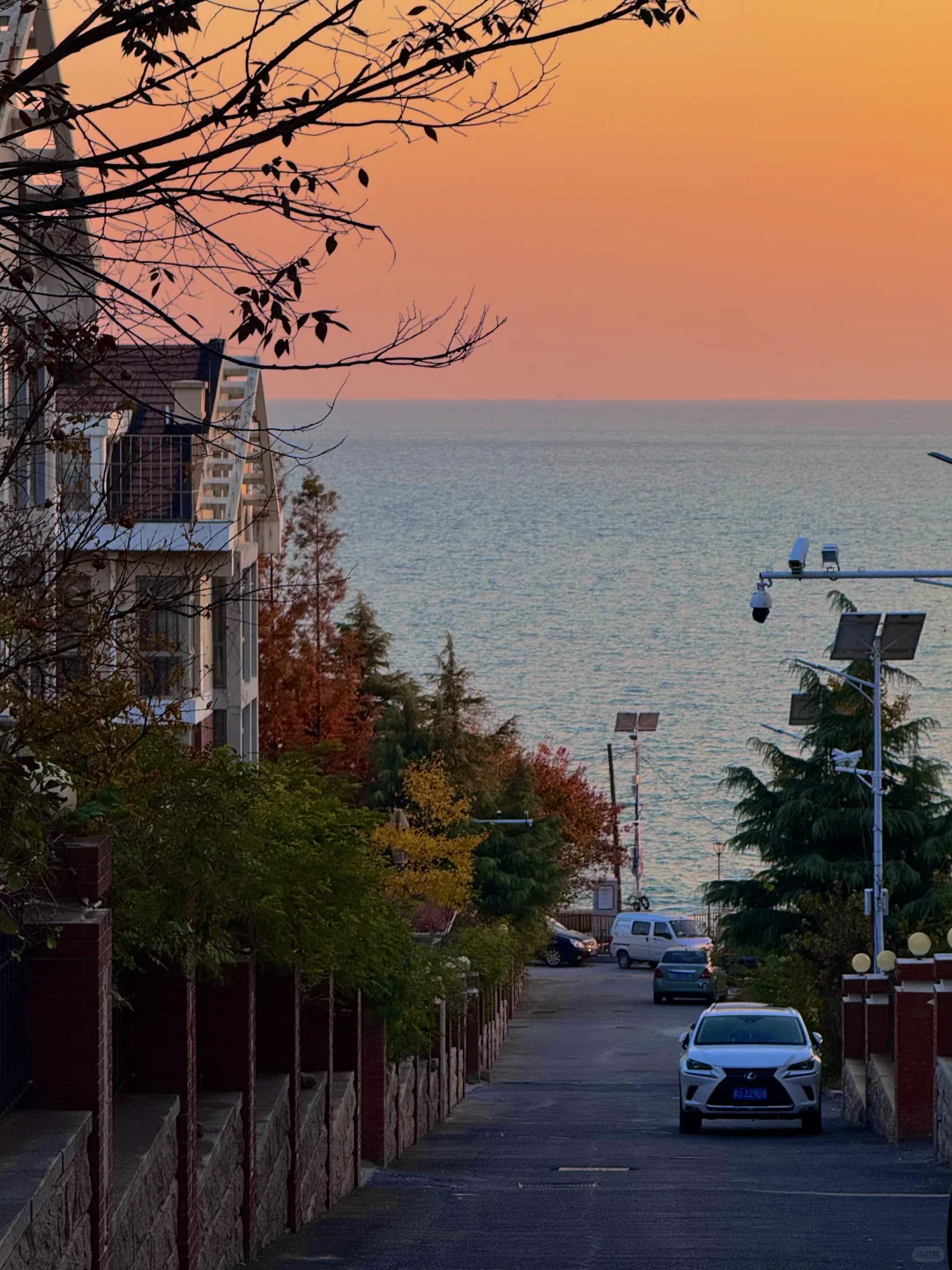 淡季的青岛真的是人间理想🌊…（18图live）