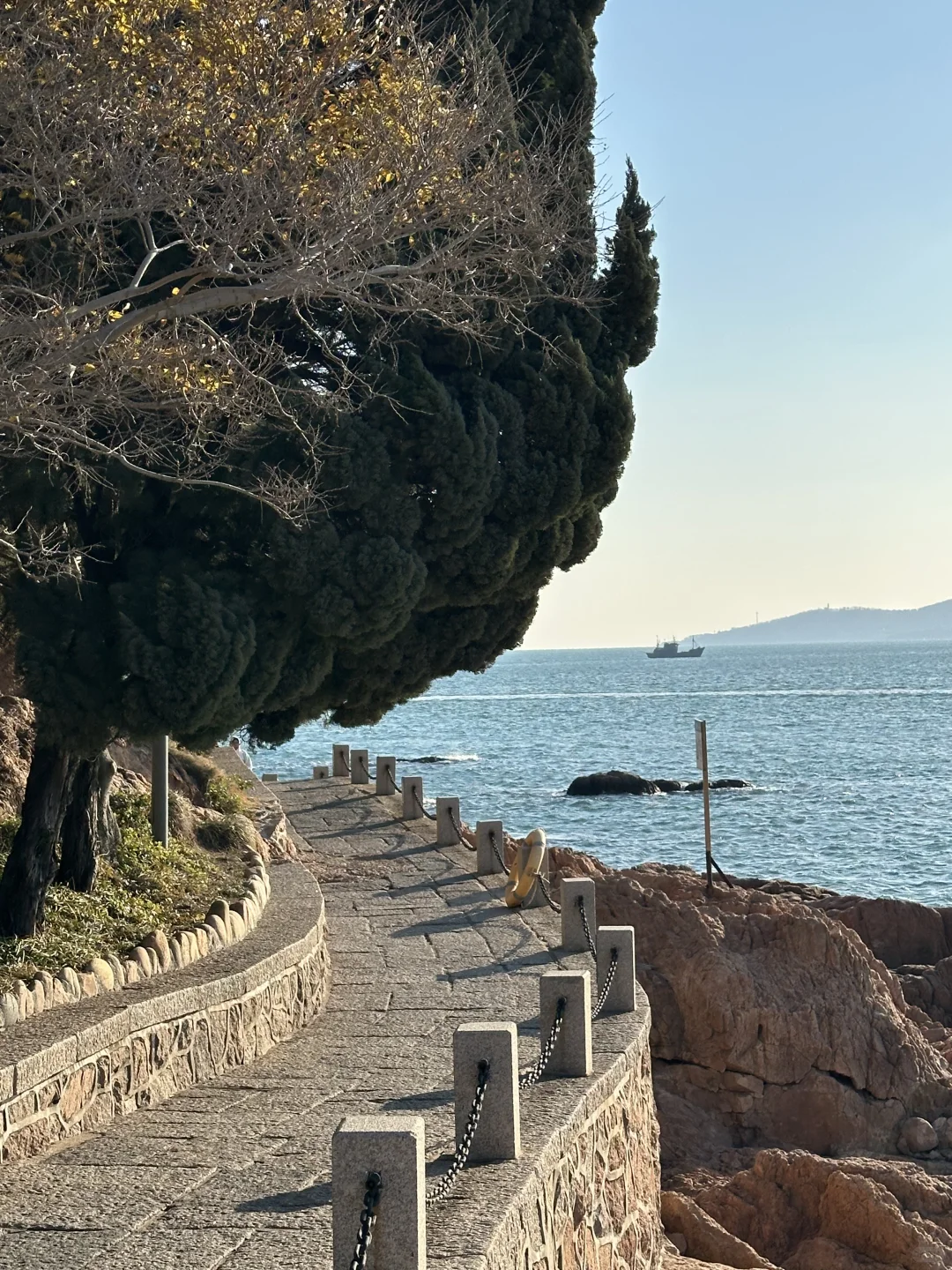 12.3 青岛风很大 海很蓝