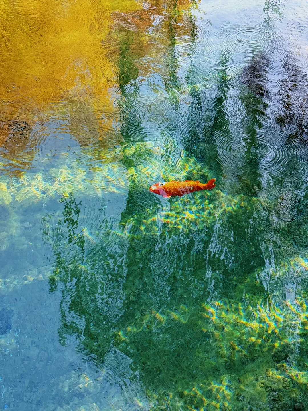 这济南可太美了！