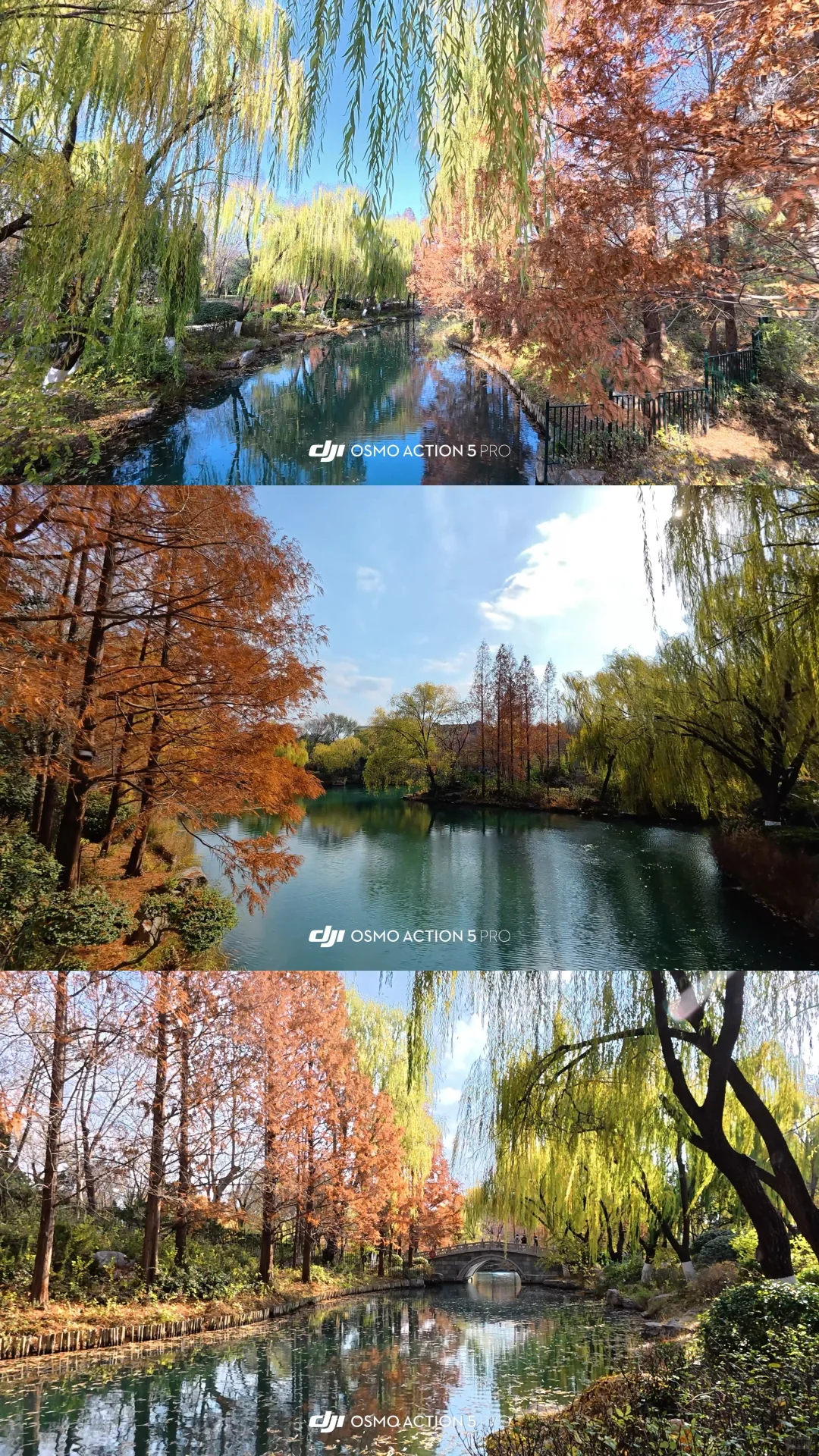 12.2济南 实况| 趵突泉+五龙潭+大明湖