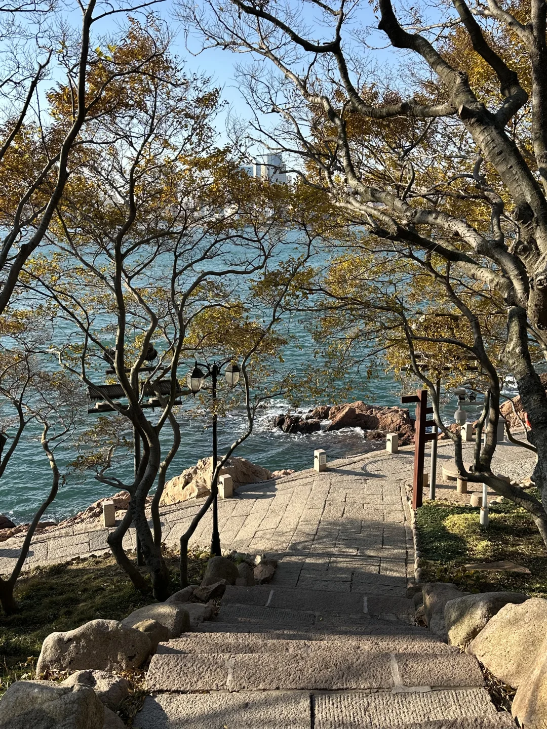 12.3 青岛风很大 海很蓝