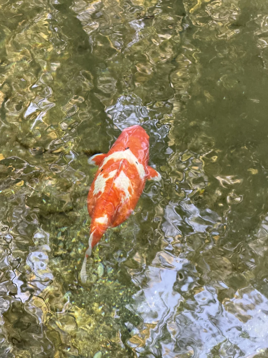 济南的水实在惊人