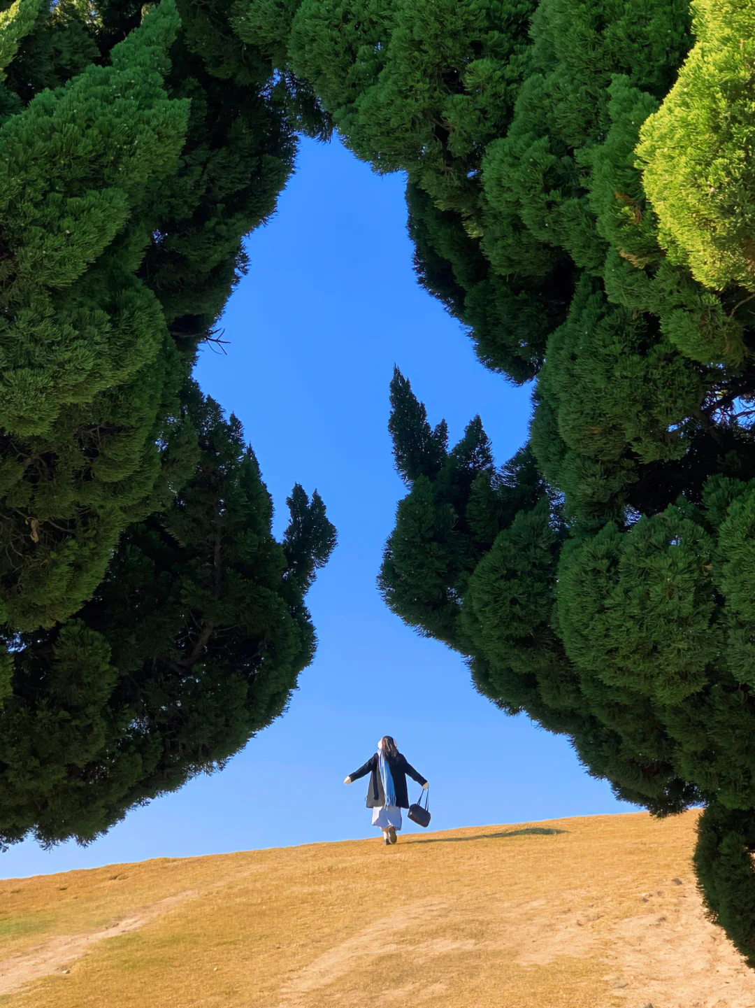 Live实况！淡季的青岛真的美疯了!😭(附机位