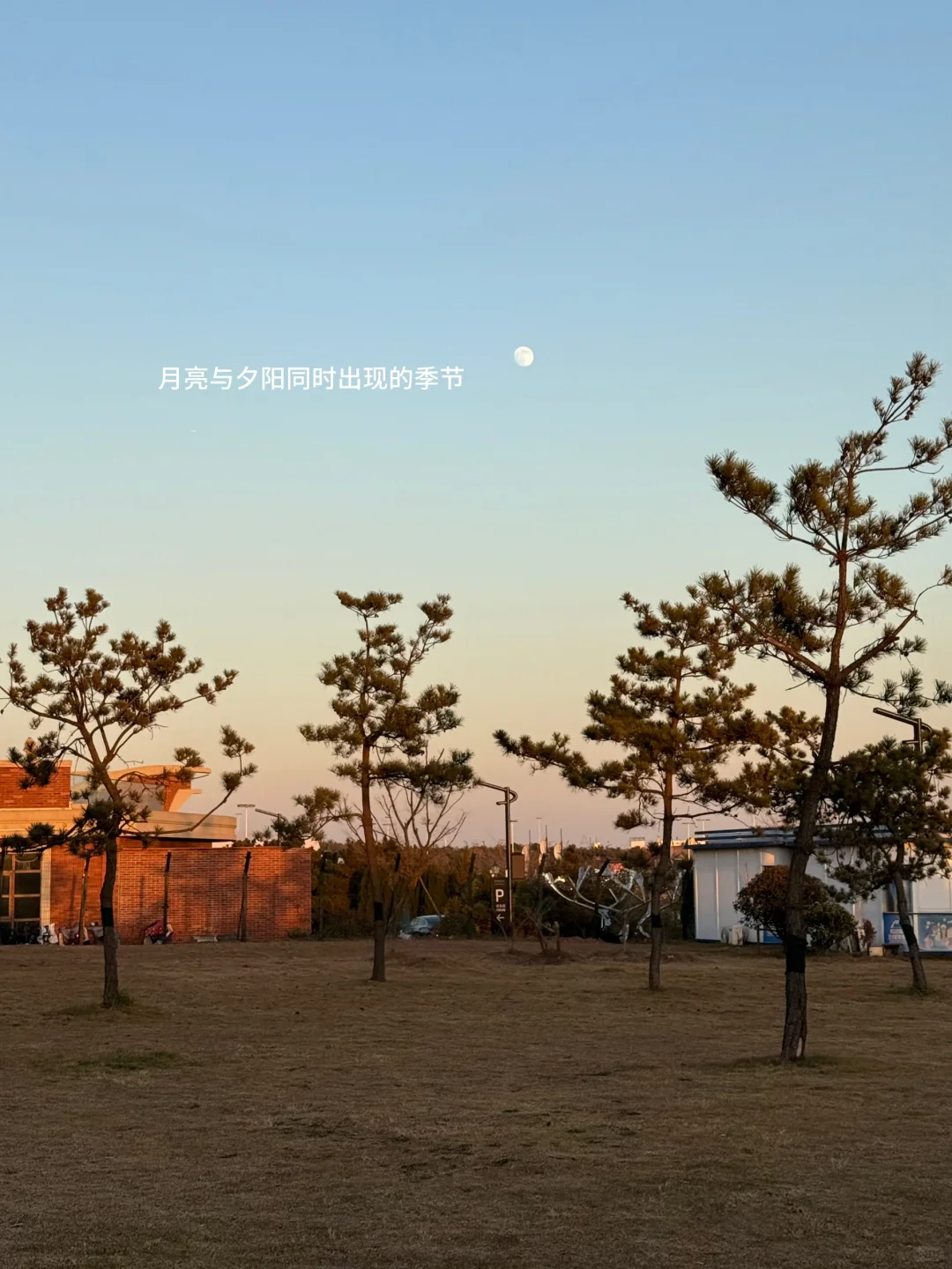 Live 实况，现在的青岛真的劝退不了一点…🌊