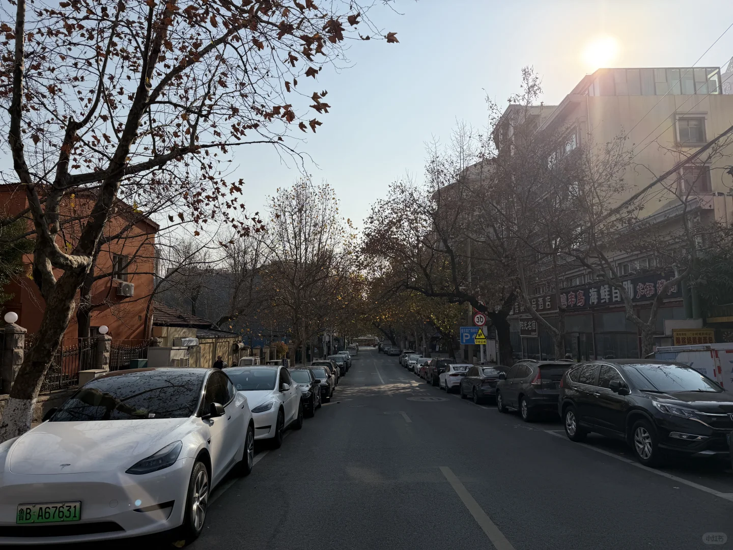 青岛今天这个阳光有点暖