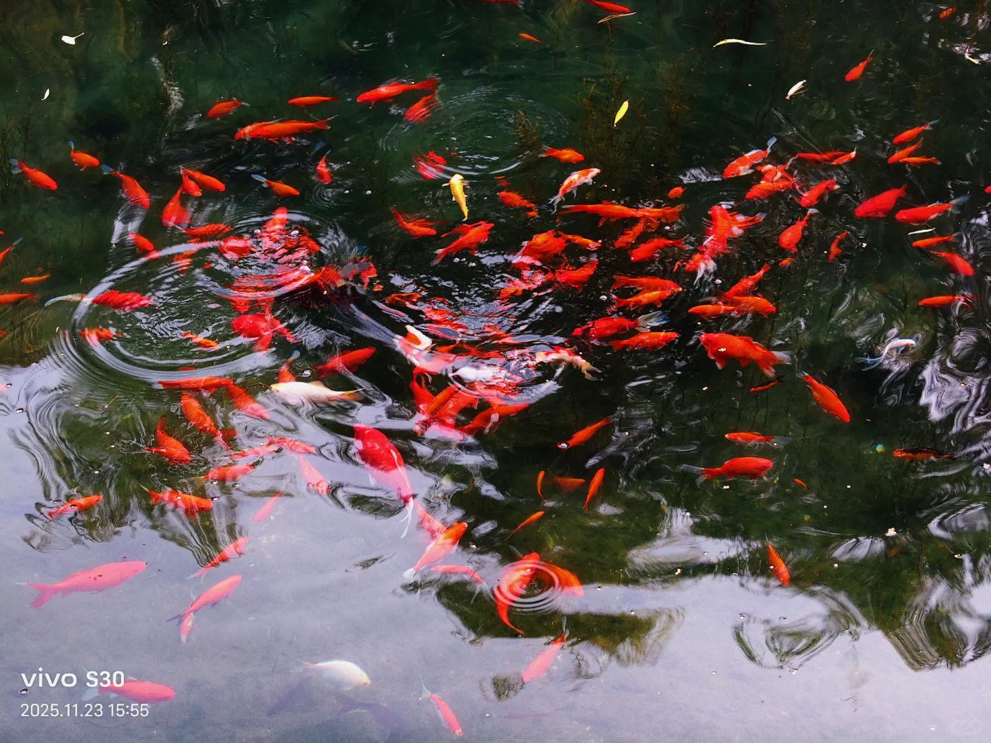 “济南的冬天是响晴的”