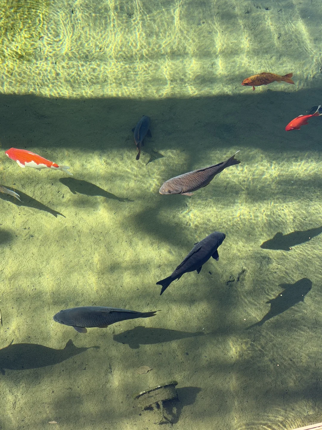 济南的水实在惊人