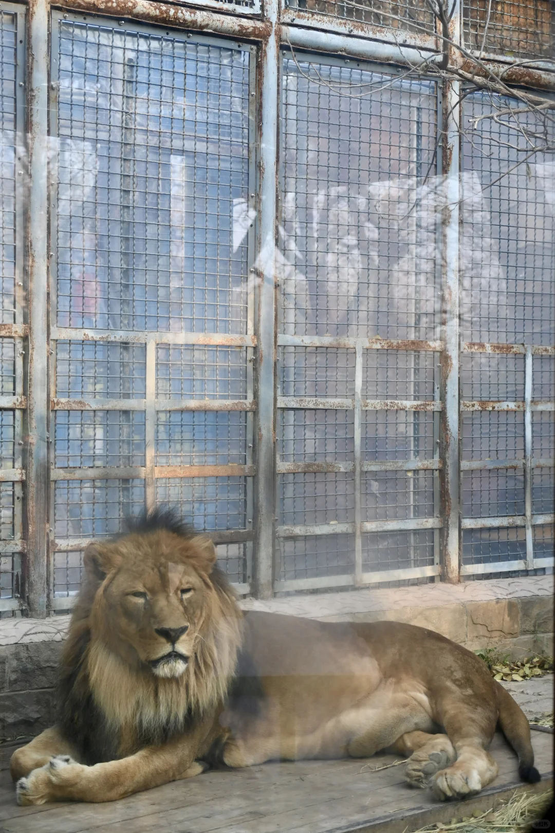 济南好去处07：济南动物园