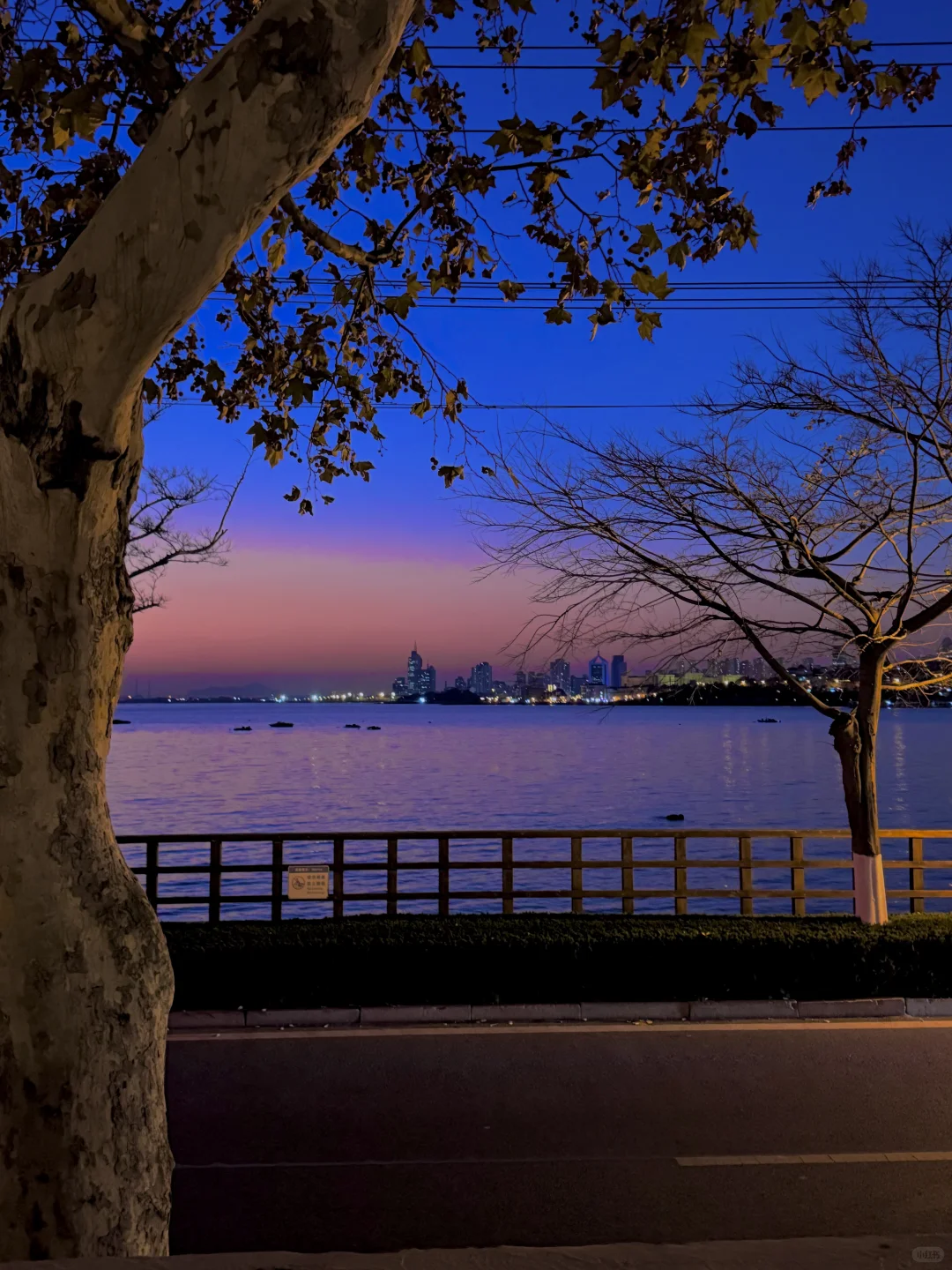 淡季的青岛真的是人间理想🌊…（18图live）