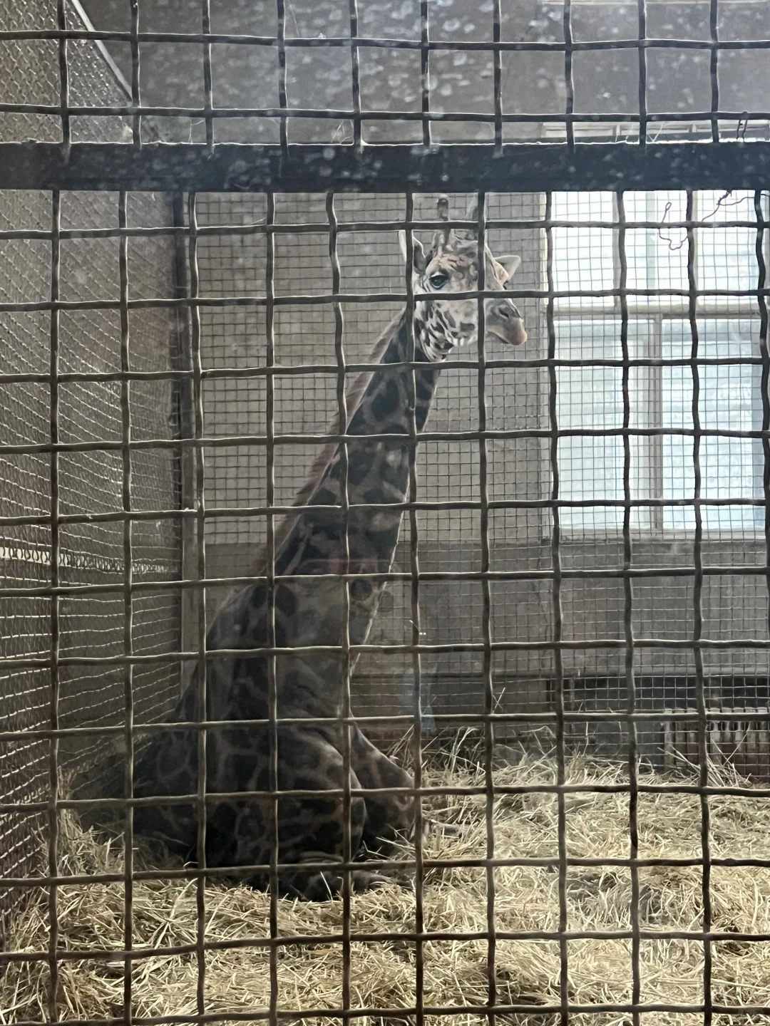 济南好去处07：济南动物园