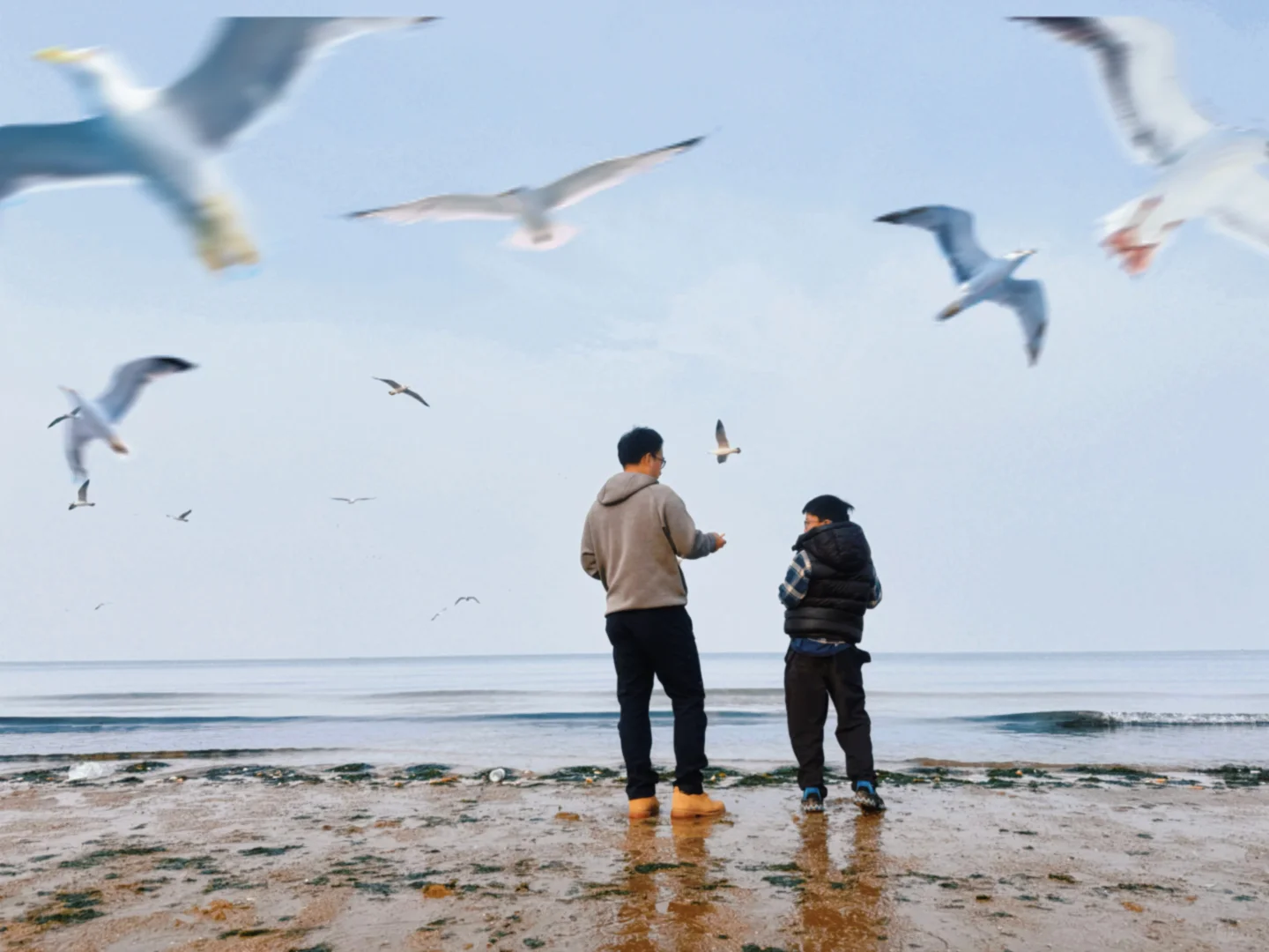 淡季的烟台｜北纬37度的人间理想（附机位）