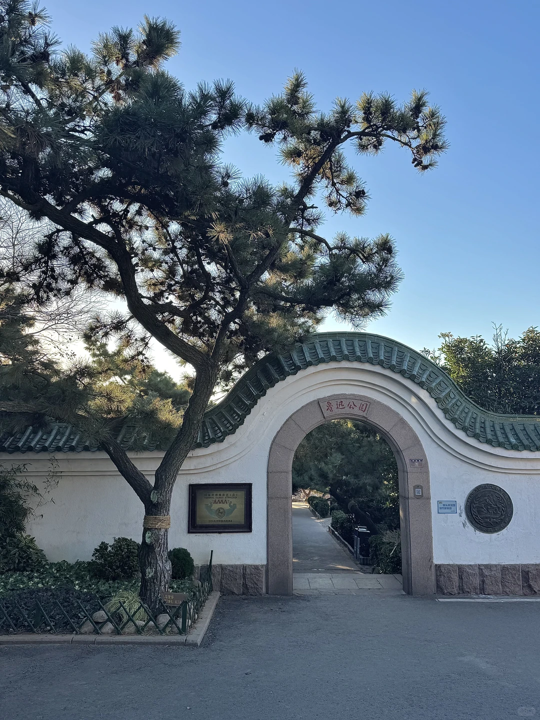 12.5青岛实况，没有淡季，8点前的琴屿路最美！