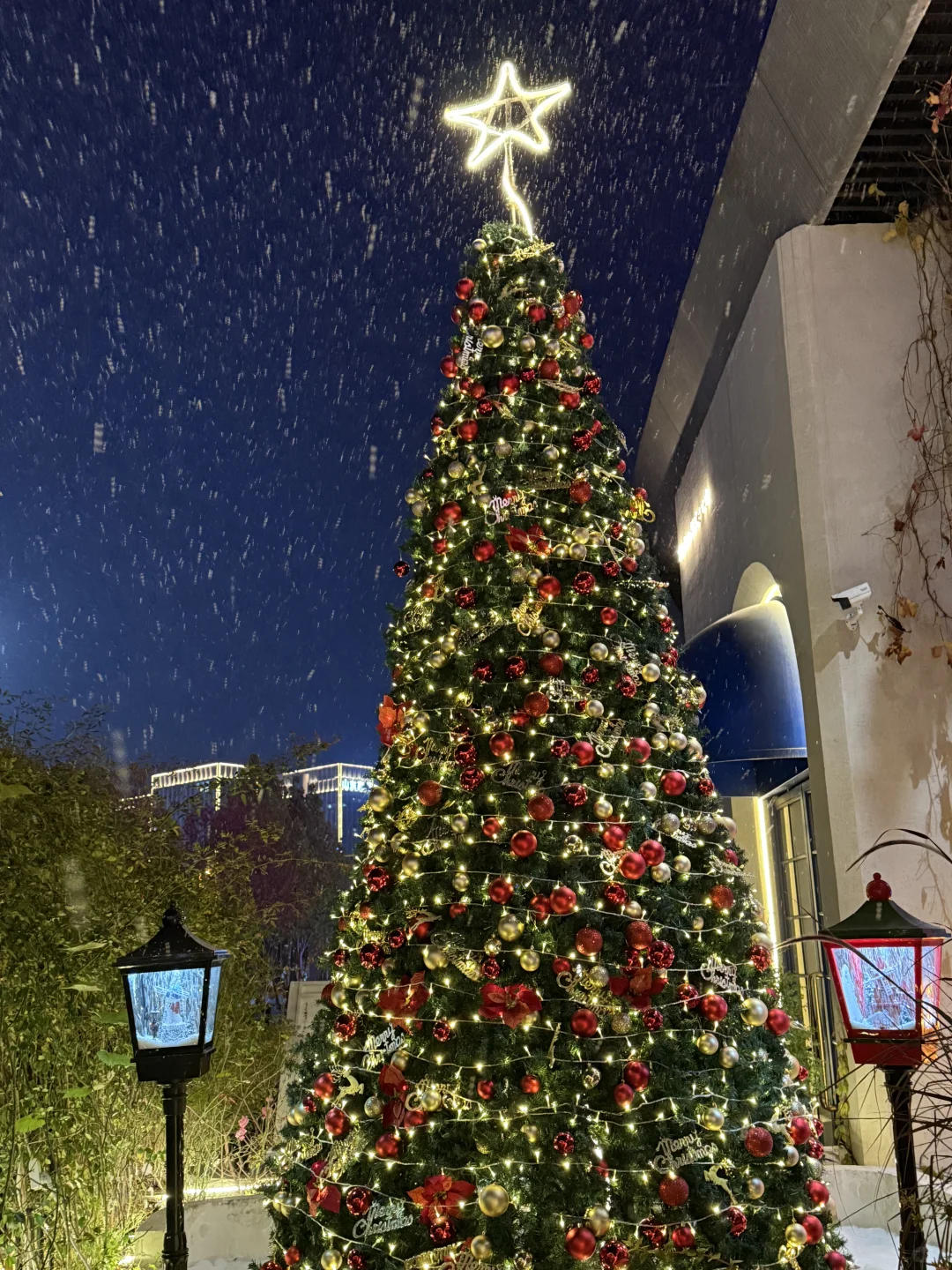 实况❕济南！！ 圣诞森林飘雪❄️太浪漫了🫎🎄🌟