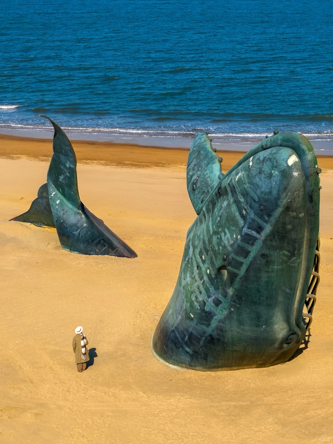 为了这18张图，我专门飞了一趟烟台❗️❗️