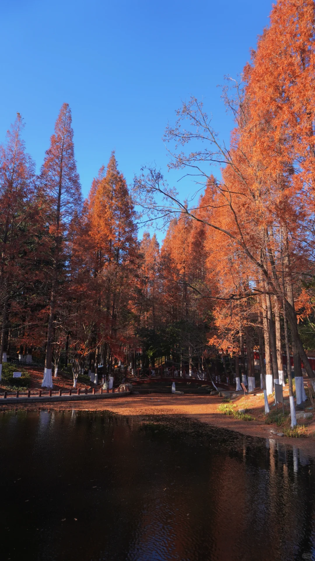青岛旅游✍攻略/1000💰一人4天三晚