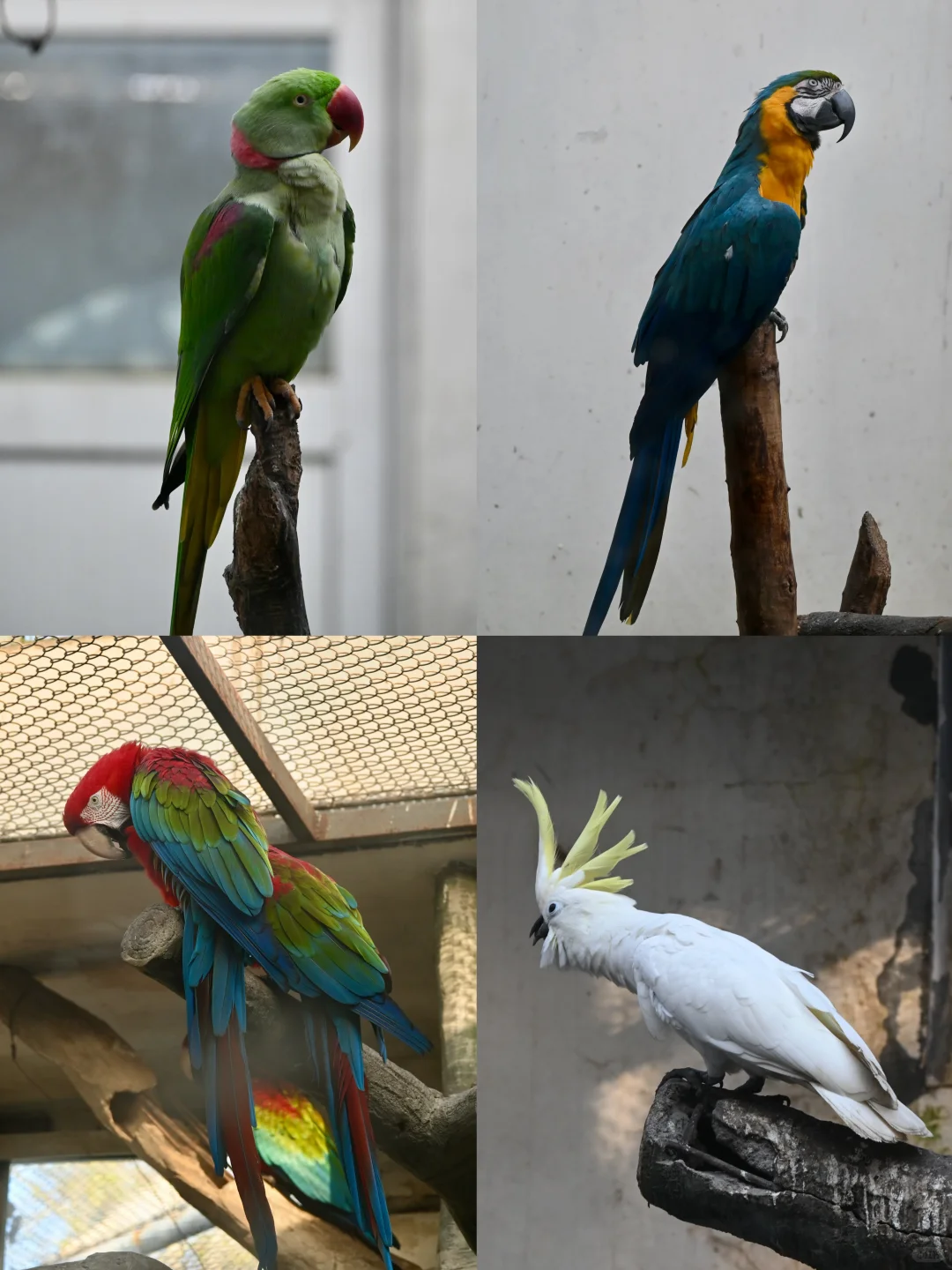 济南好去处07：济南动物园