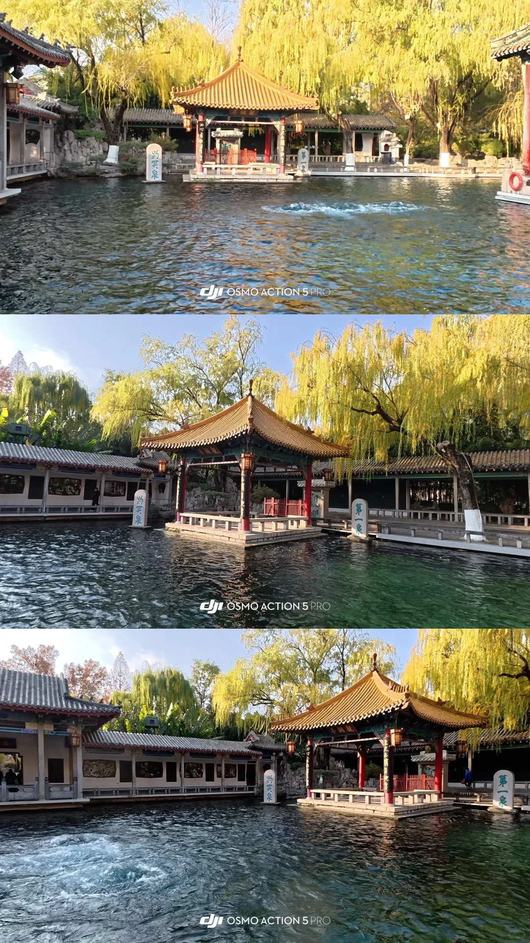 12.2济南 实况| 趵突泉+五龙潭+大明湖