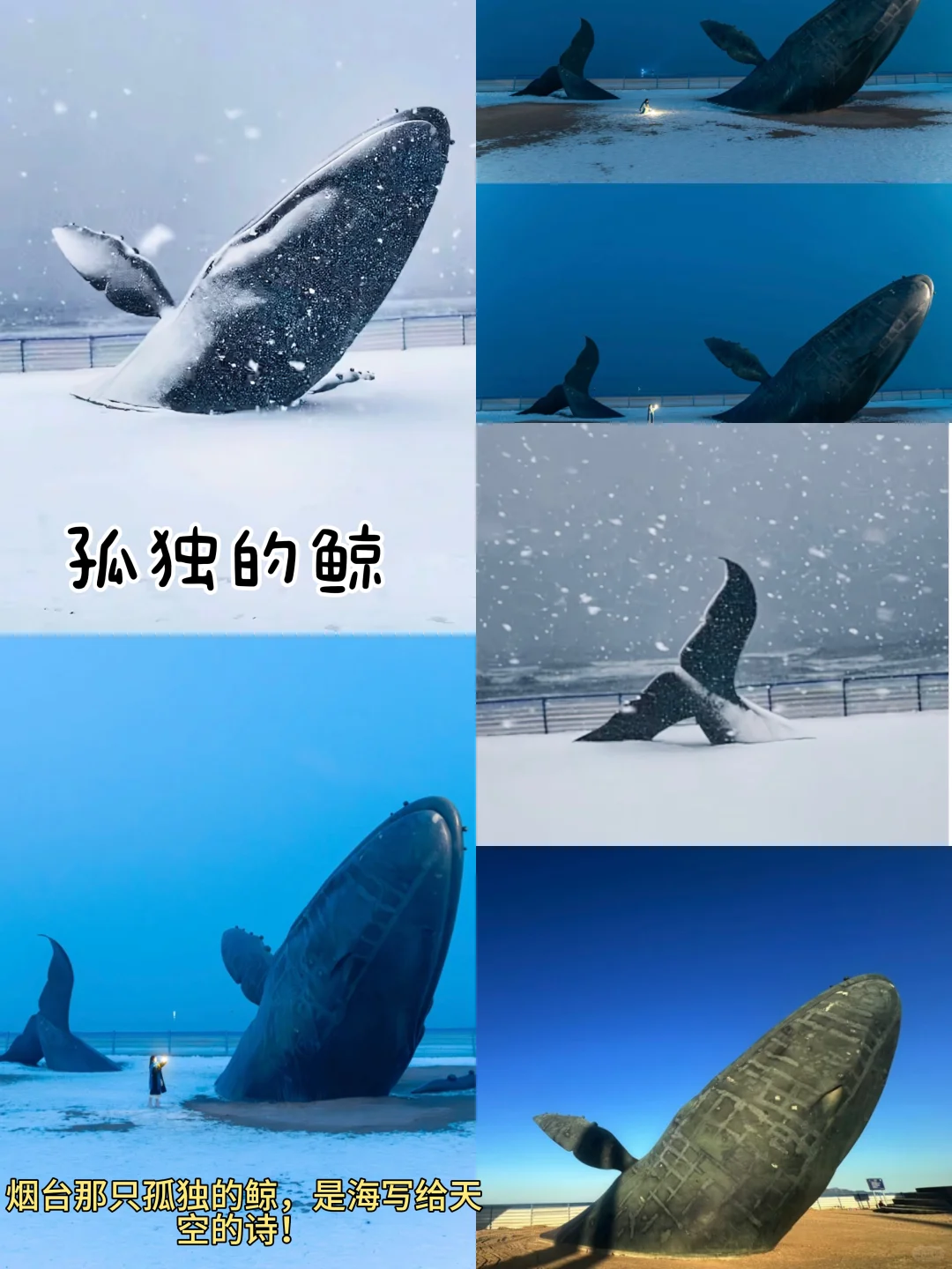 烟台📍两天一夜| 不废腿版保姆级逛吃攻略