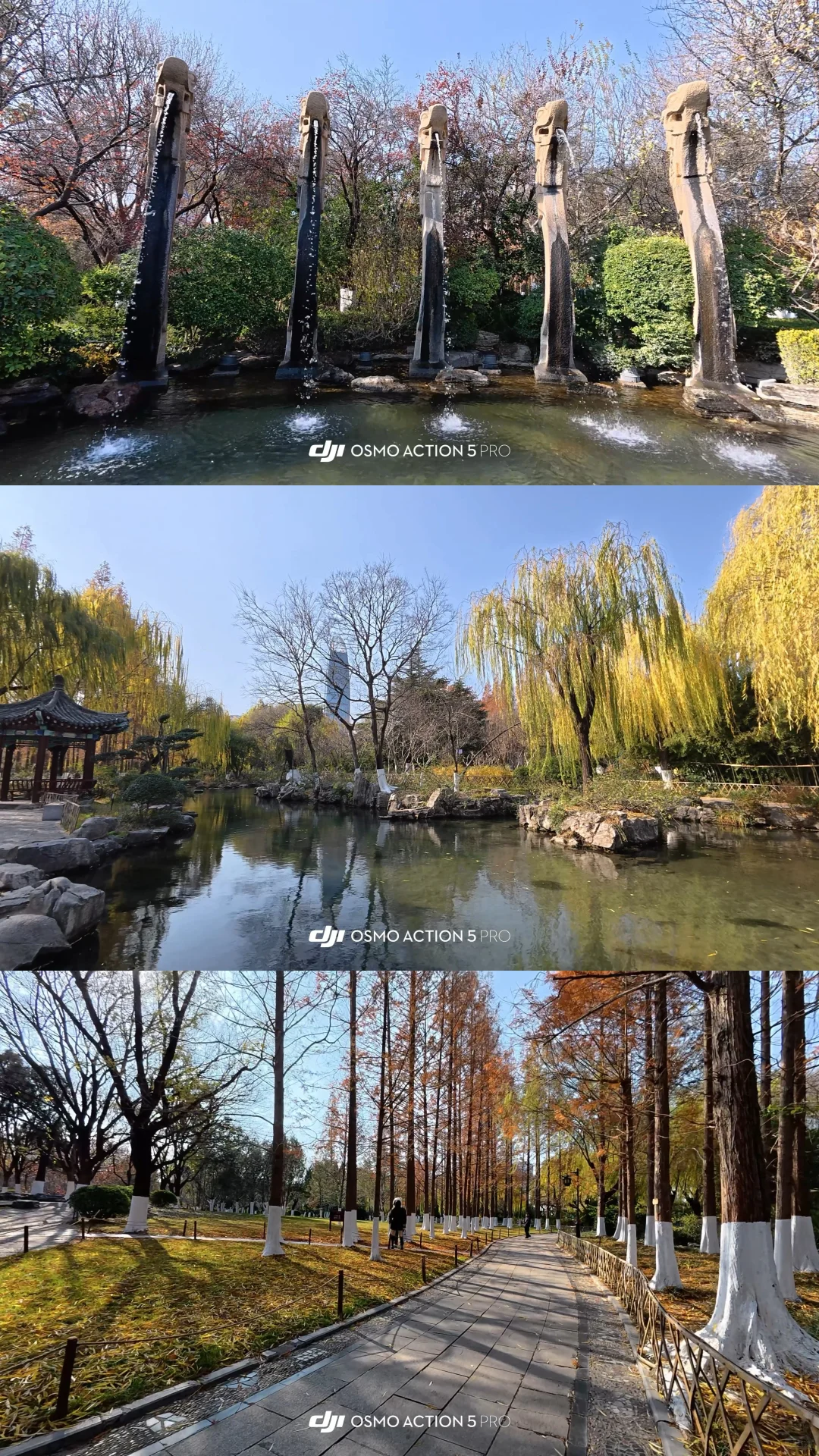 12.2济南 实况| 趵突泉+五龙潭+大明湖