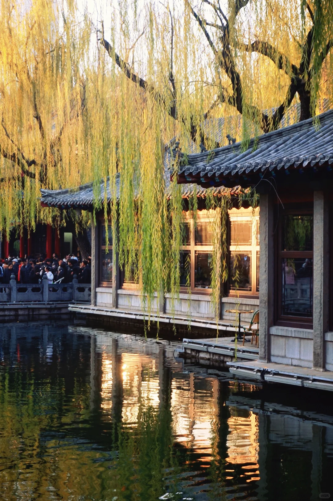 温晴的济南☀️