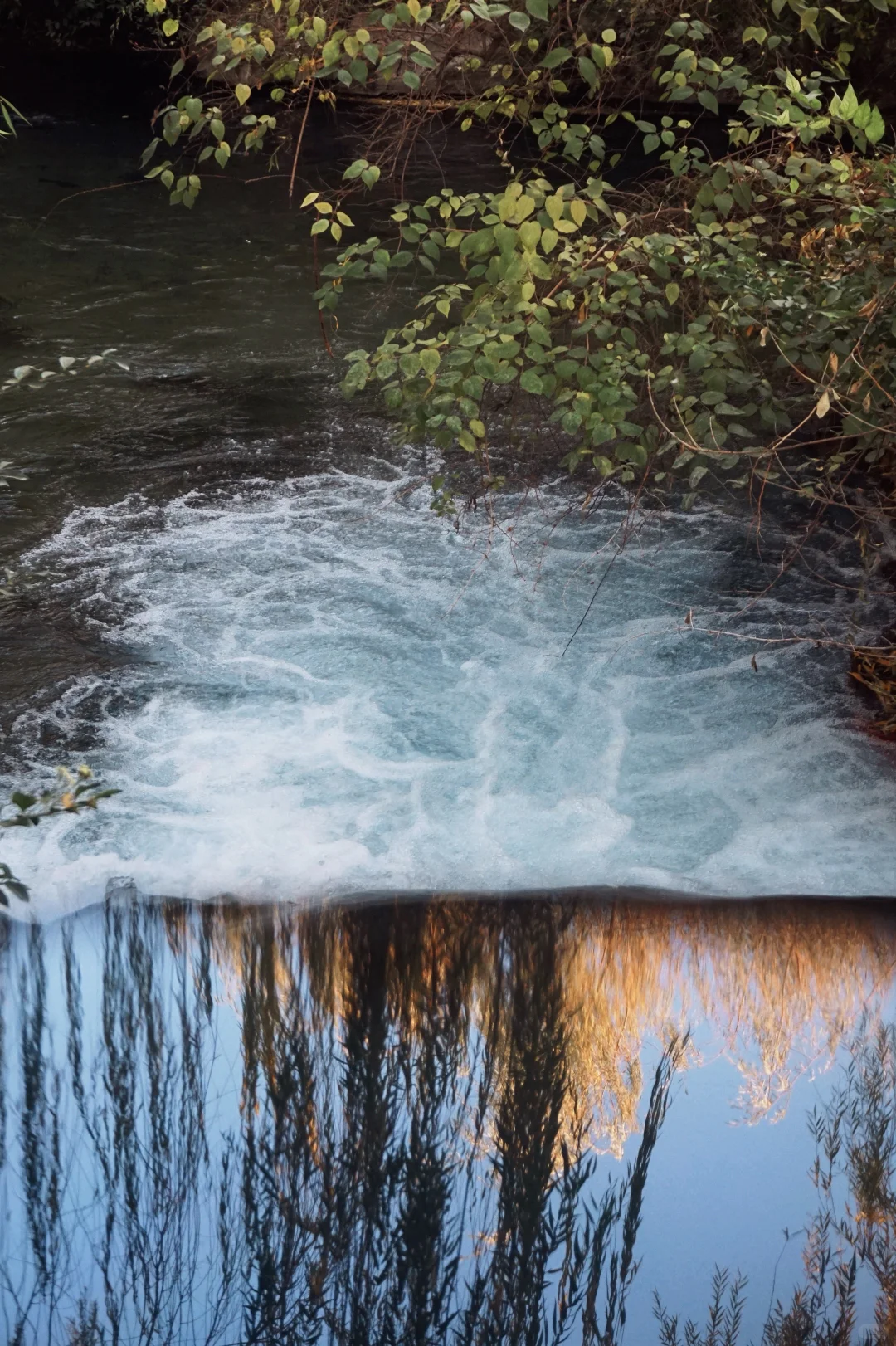 温晴的济南☀️