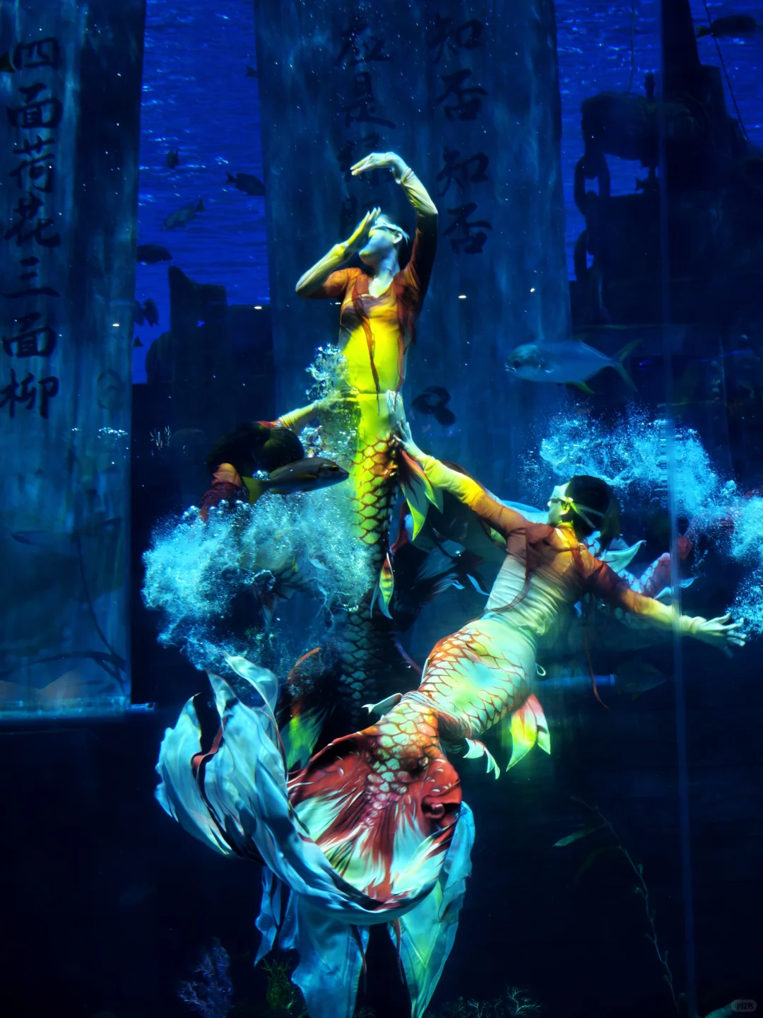 打卡济南融创海世界｜送你一场蓝色梦幻之旅