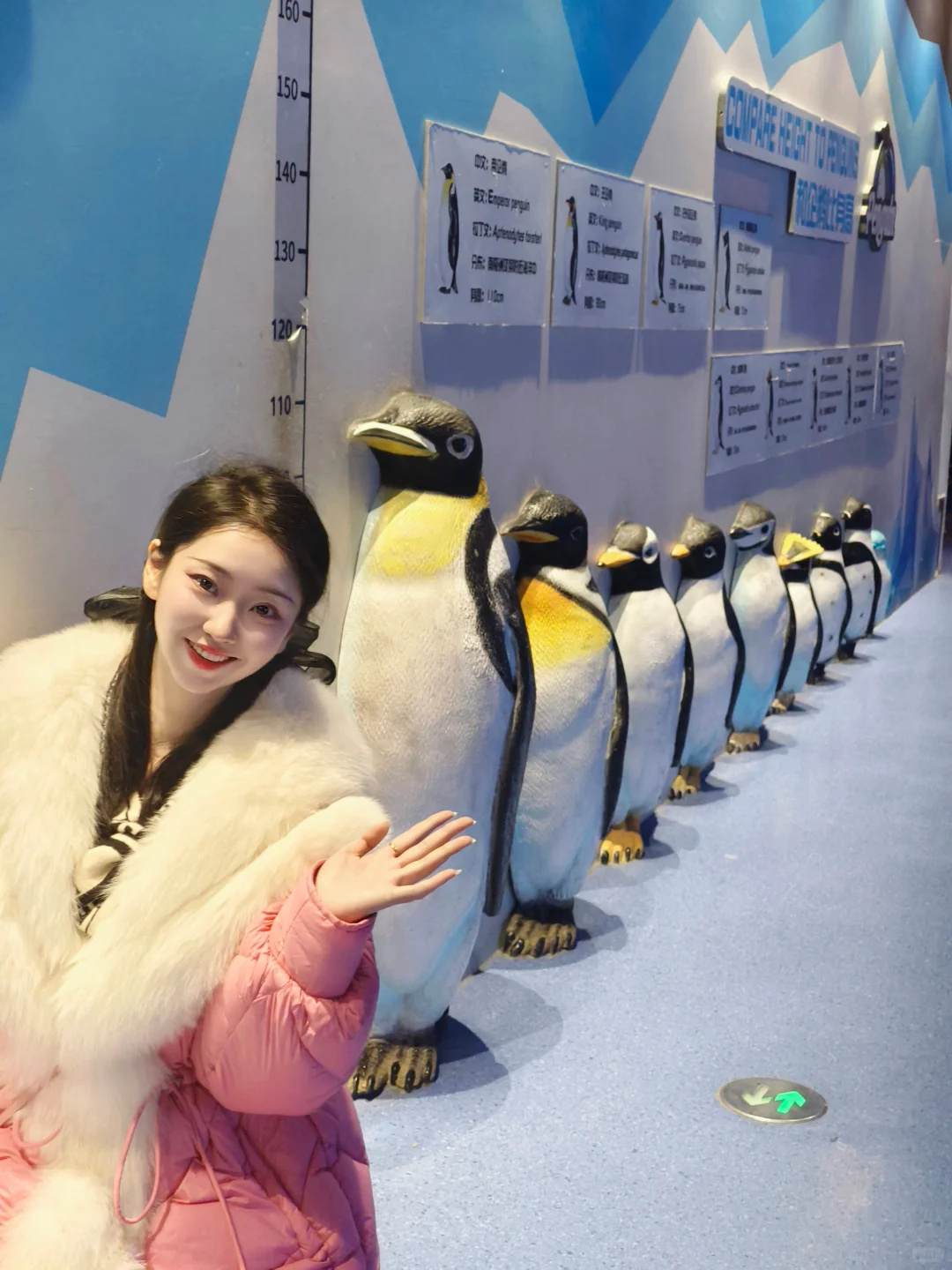 打卡济南融创海世界｜送你一场蓝色梦幻之旅